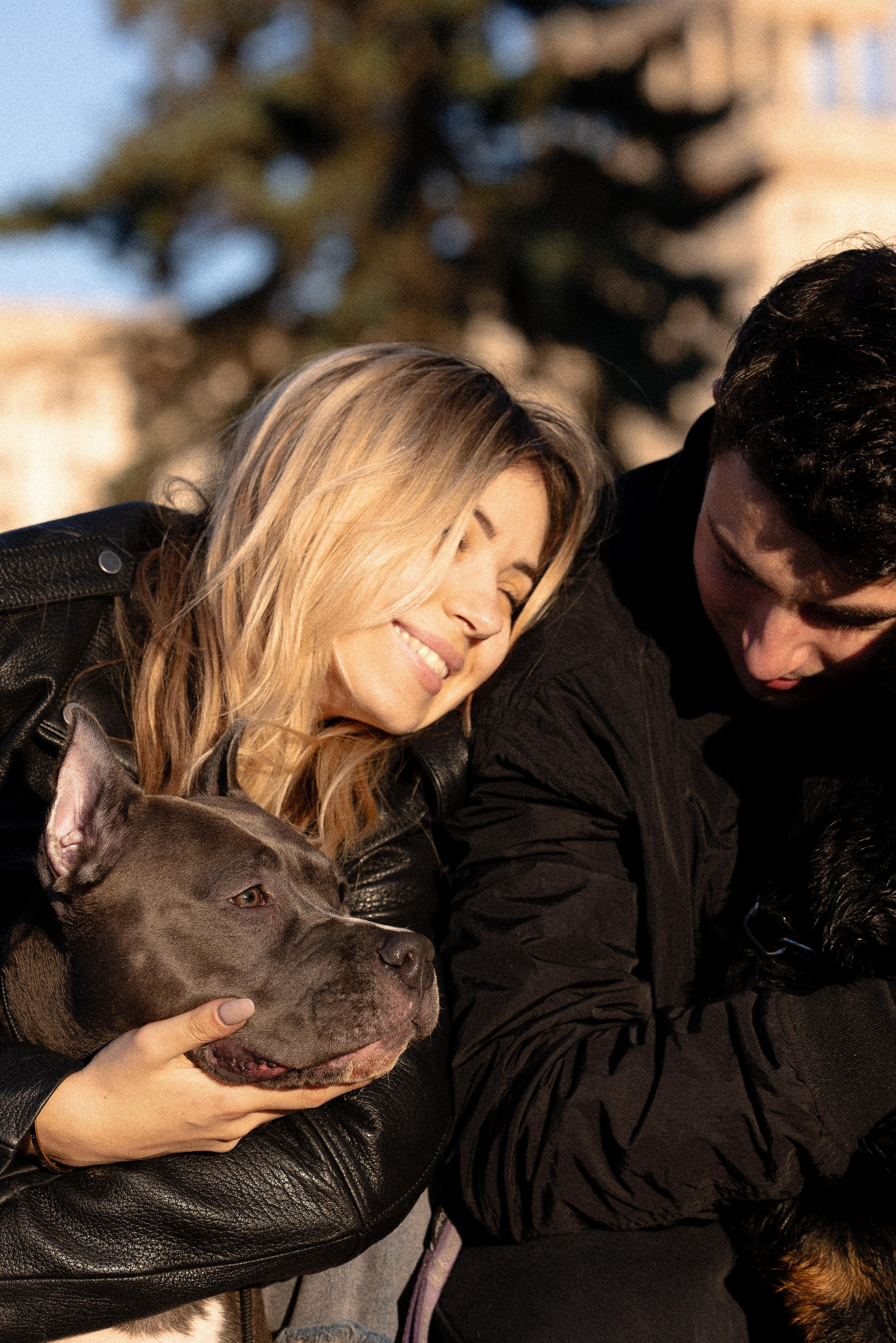 Катя, Леша, Лея и Трой. Фотограф и видеограф анималист Аганина Дарья