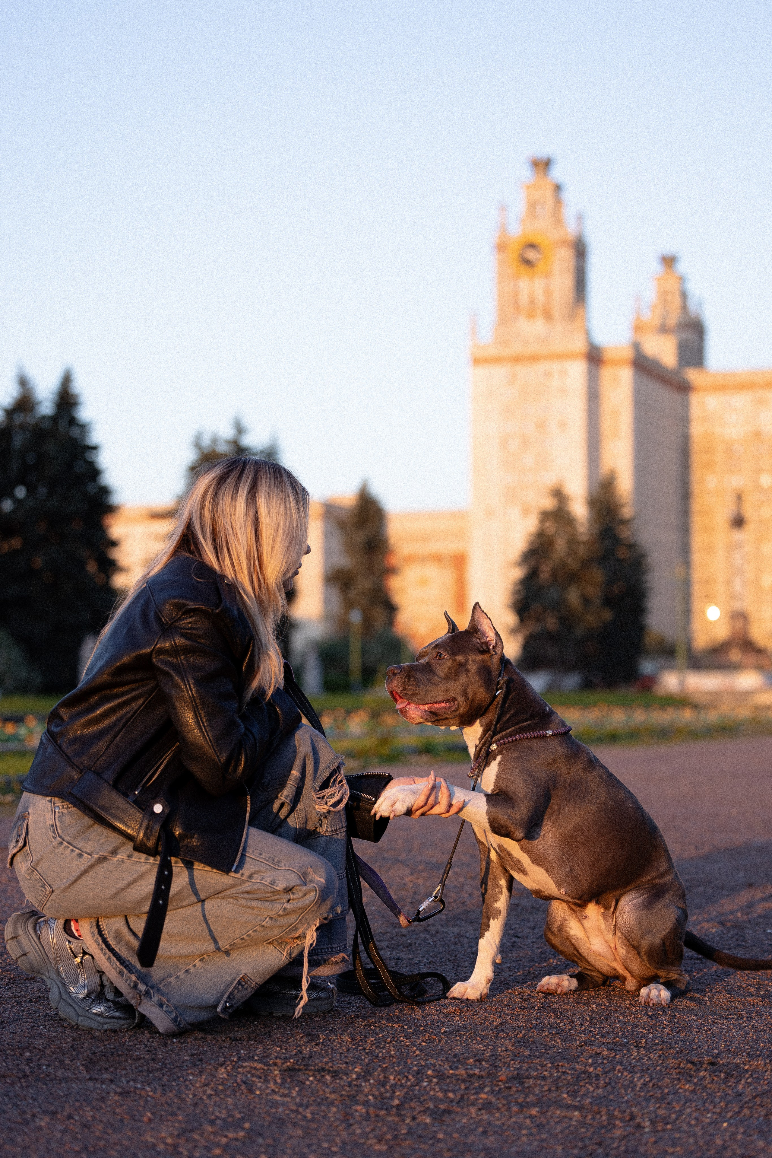 Катя, Леша, Лея и Трой. Фотограф и видеограф анималист Аганина Дарья