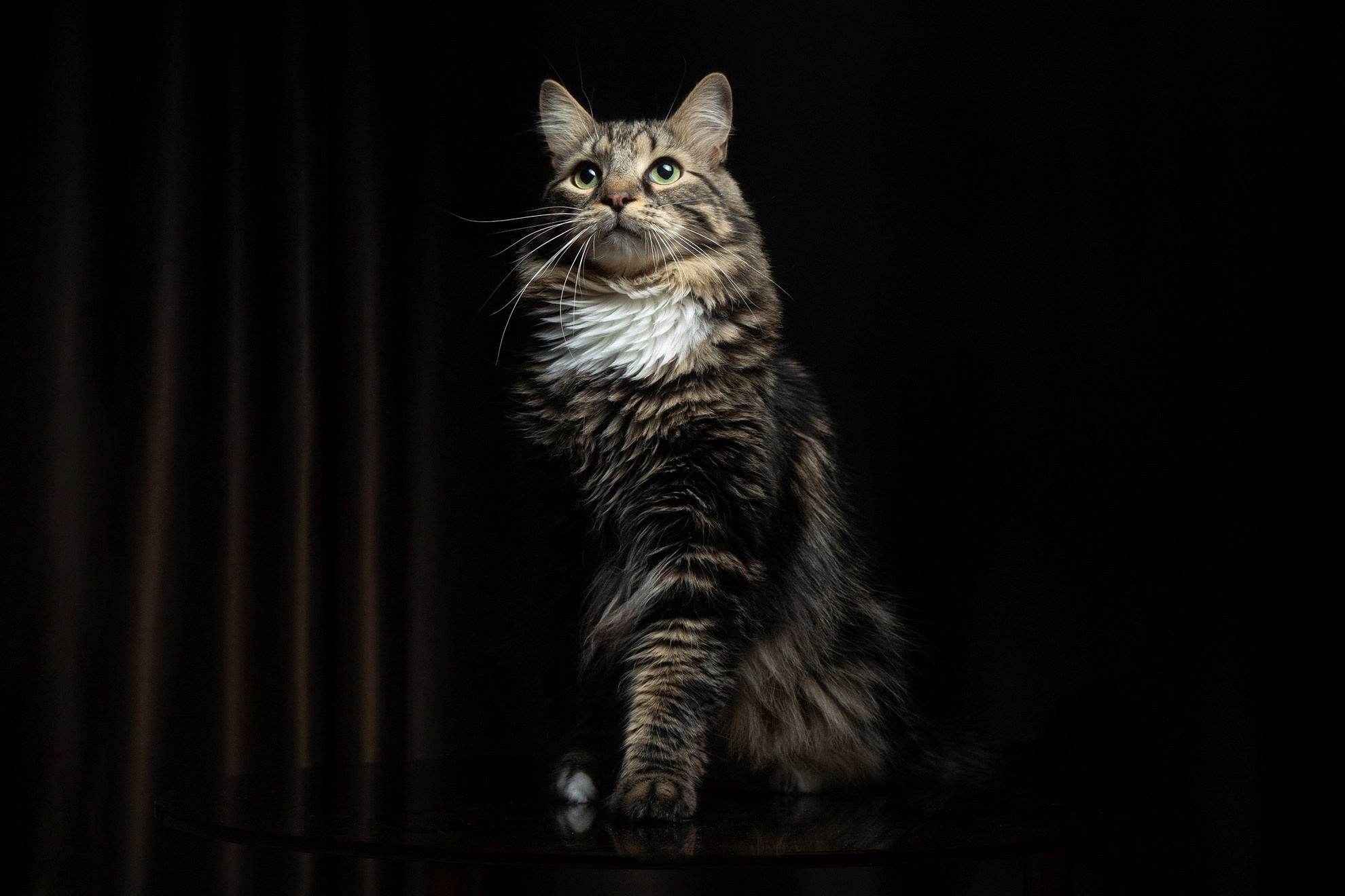 Лека и Дар. Свадебный и репортажный фотограф в Москве и Московской области