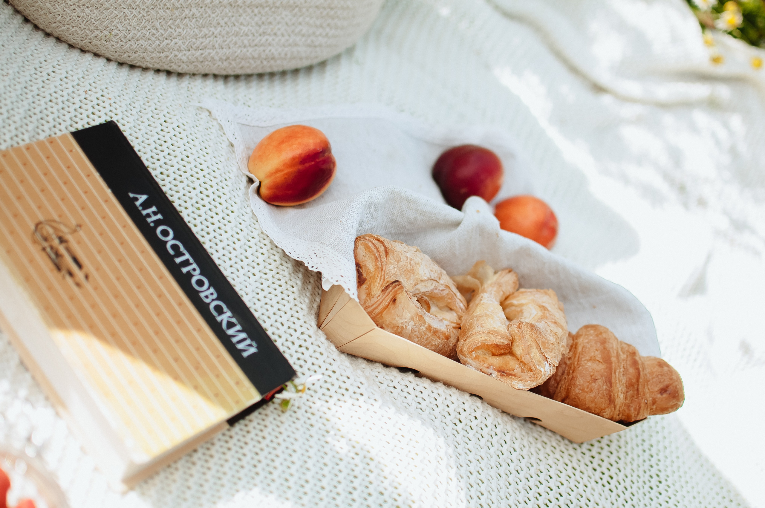 Привет ромашки