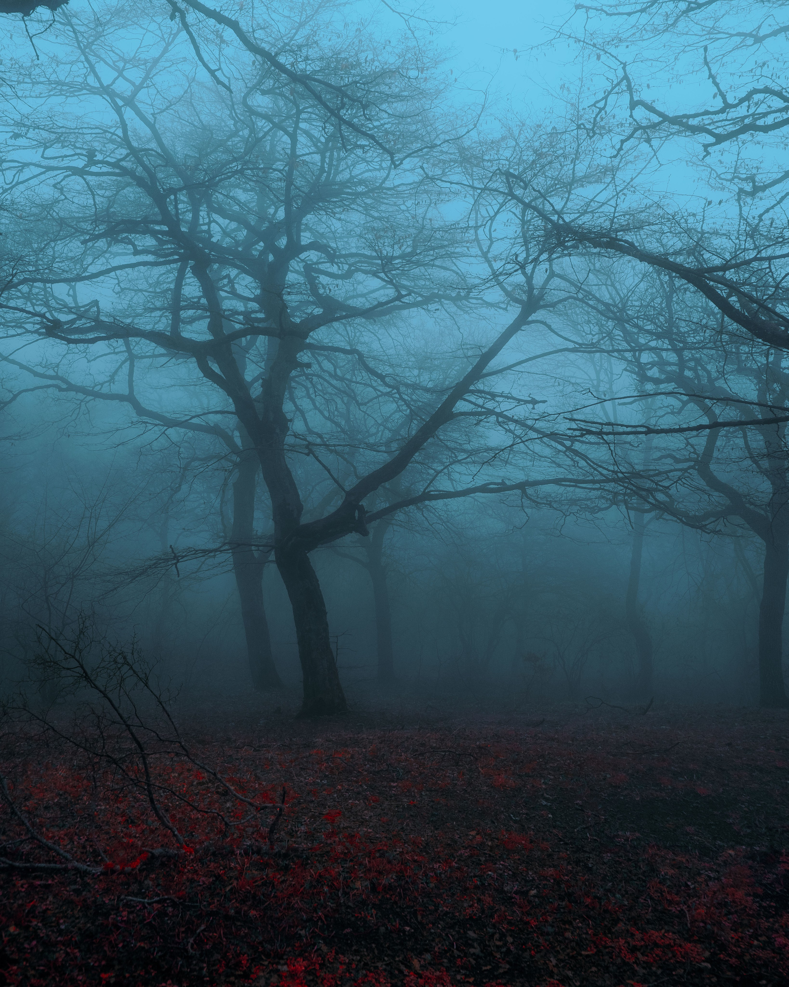 Стрит / Окружение / Архитектура. Фотограф Александр Чернышёв