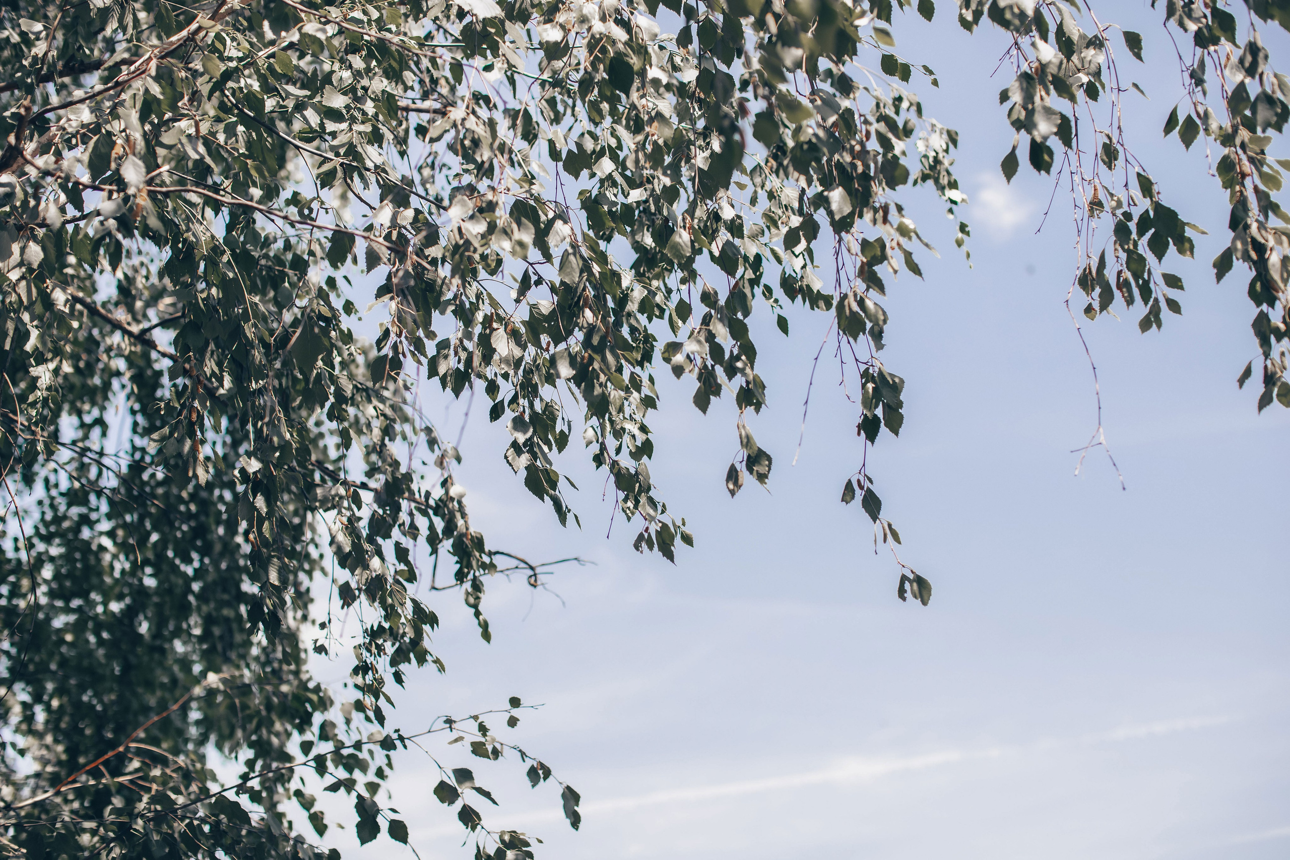 Ирина и Вячеслав. Фотограф Лиана Артемова в Пензе