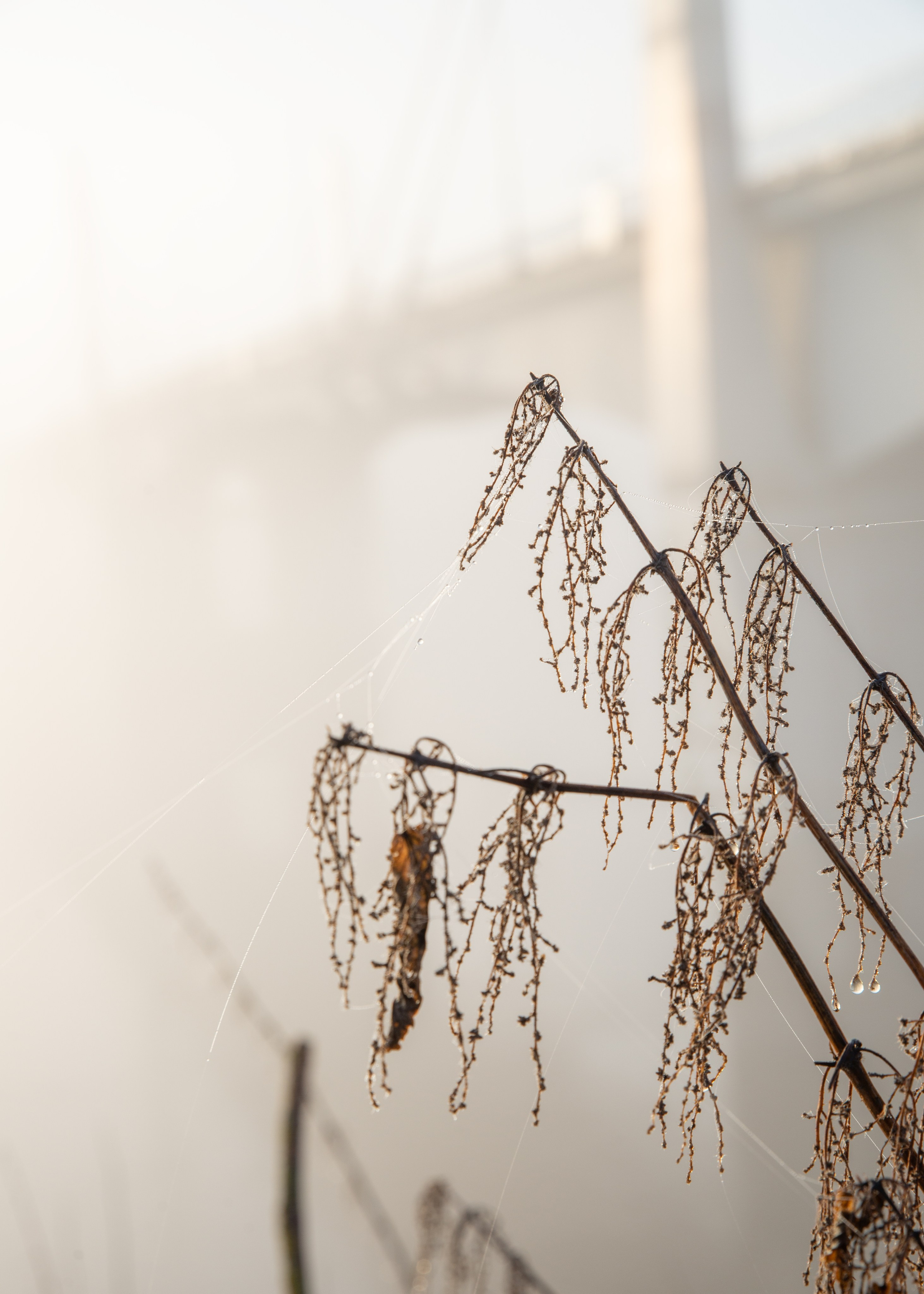 Пленэр в Кимрах. Фотограф Юлия Зимина