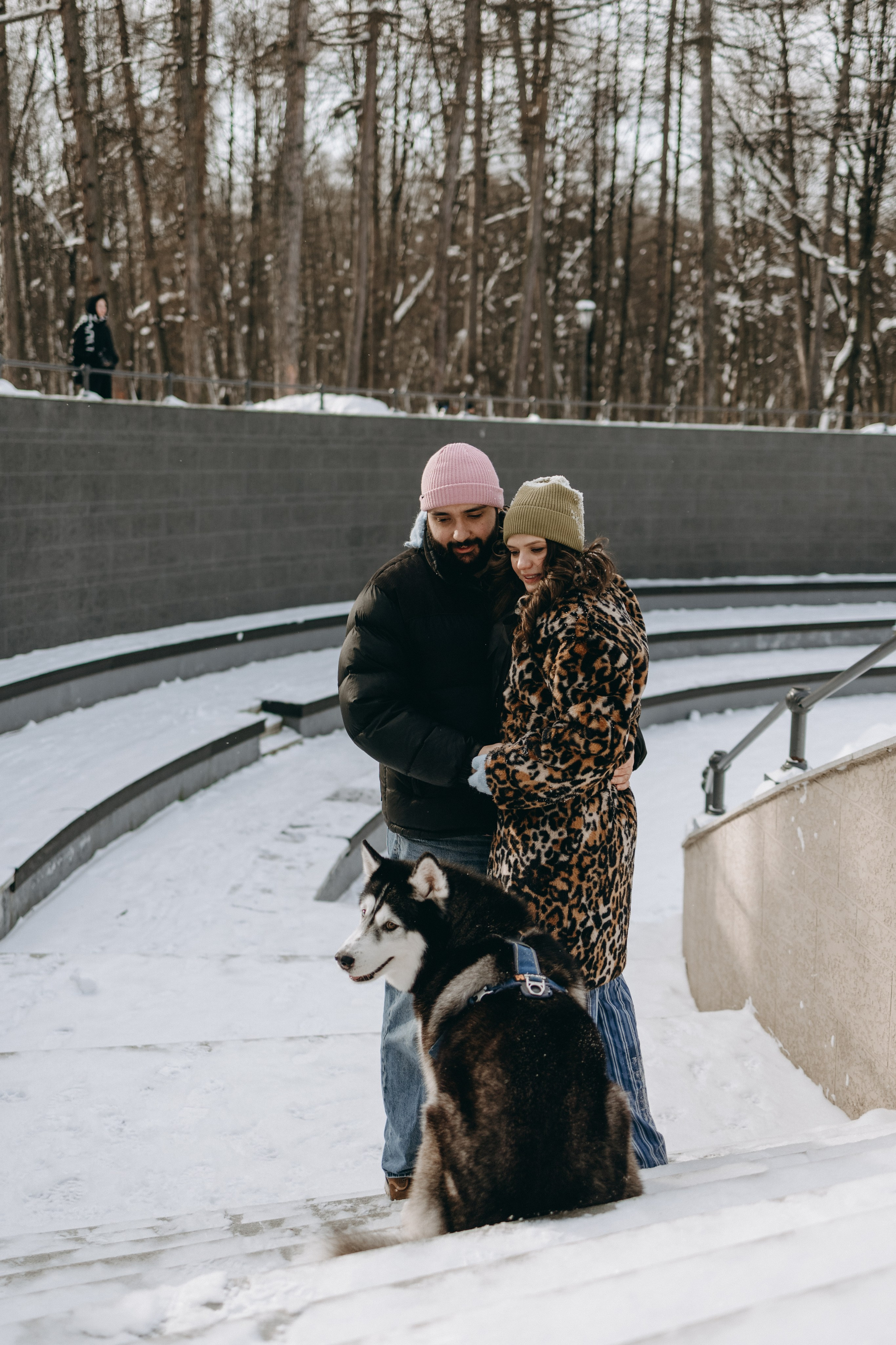 Вегас и его семья. Фотограф — Анималист | Санкт-Петербург