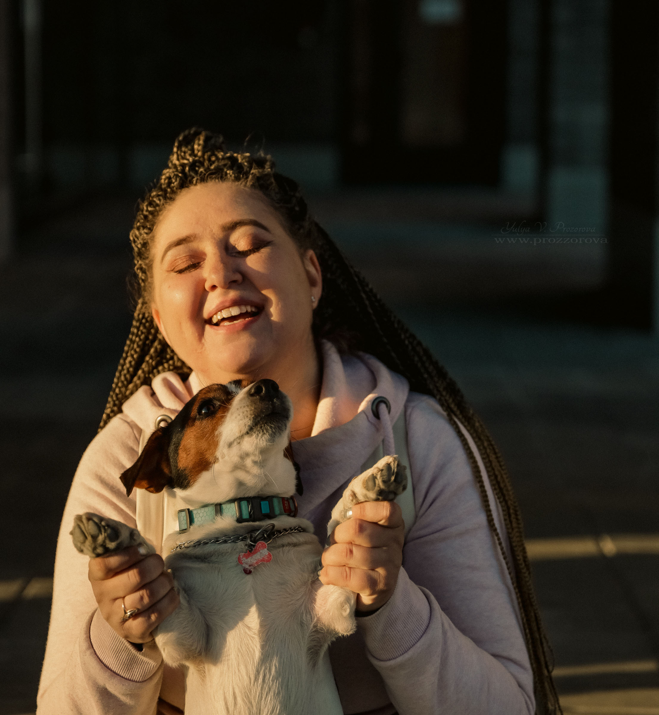 джек-рассел терьер фотосессия собака