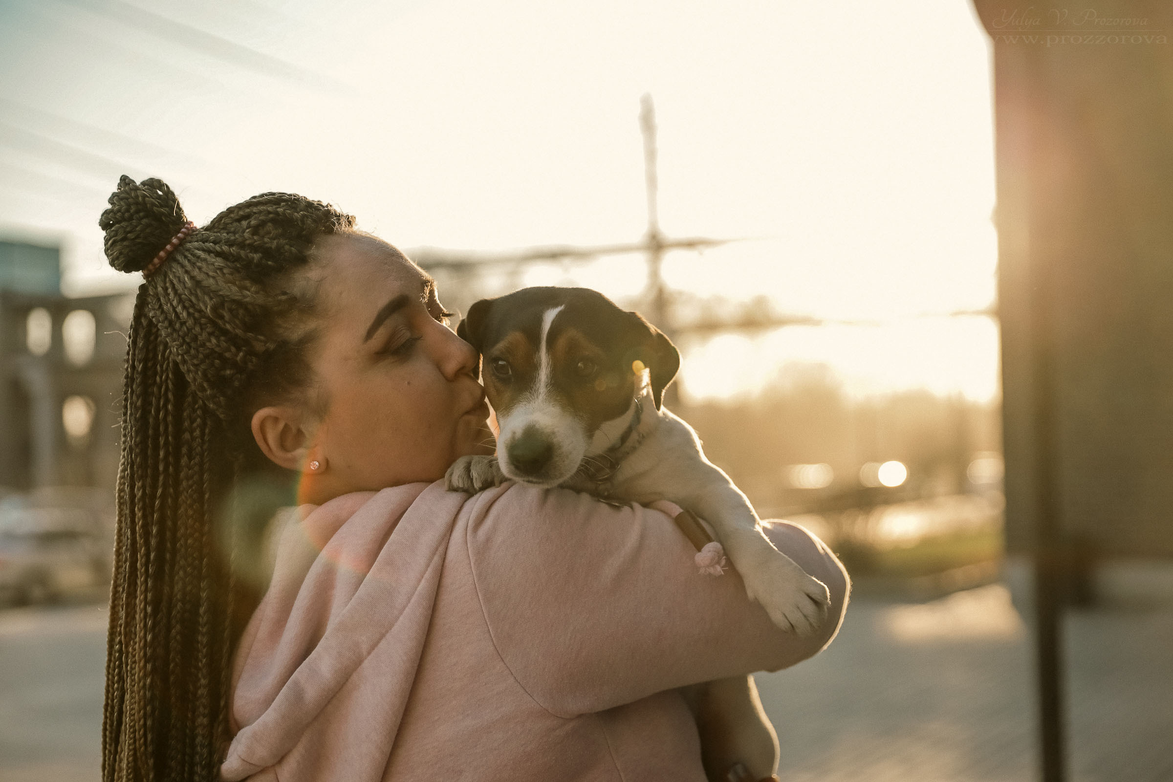 джек-рассел терьер фотосессия собака