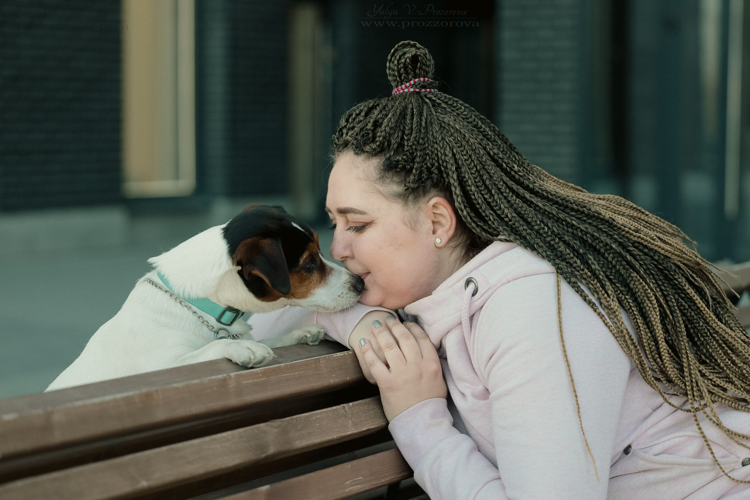 джек-рассел терьер фотосессия собака