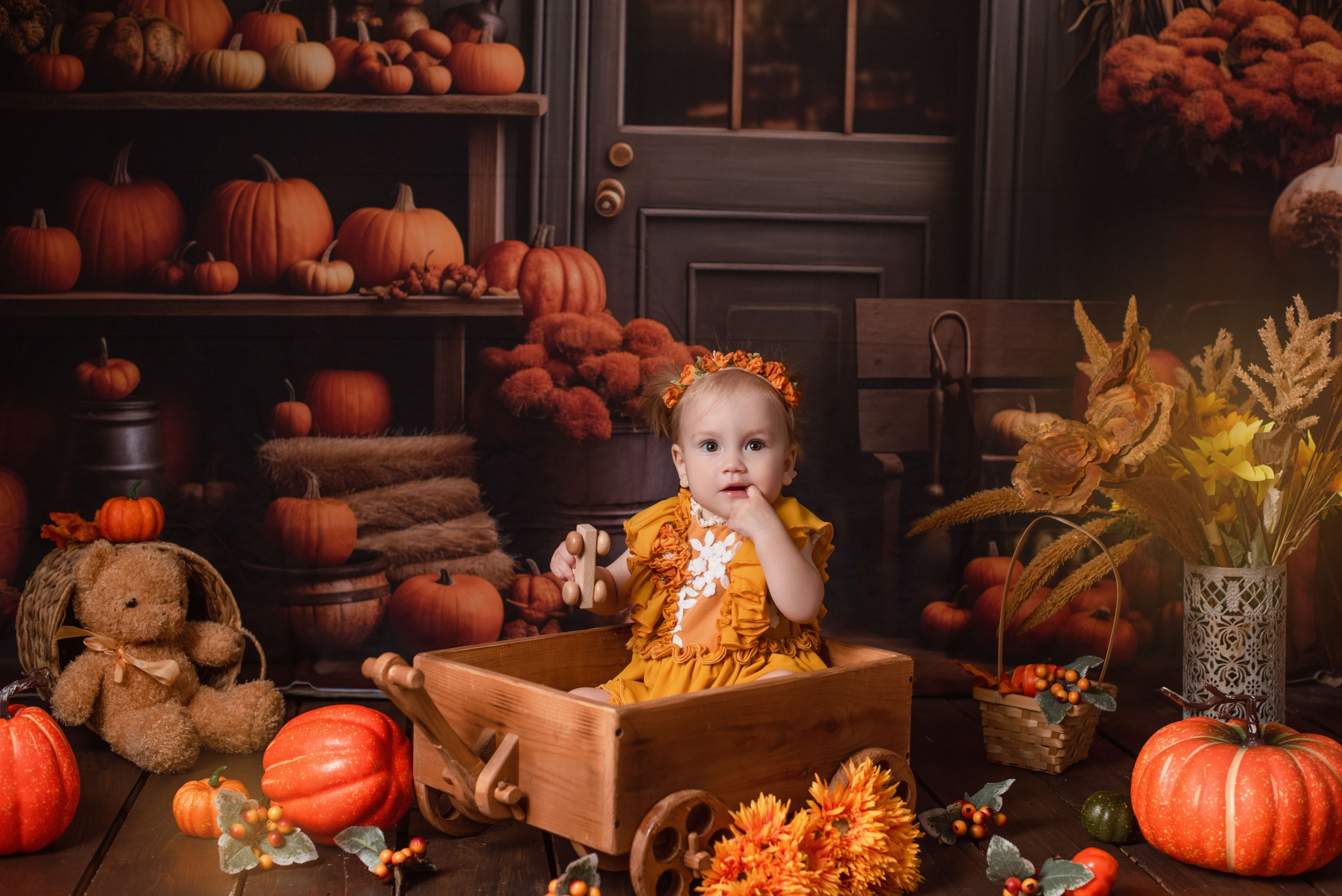 Годики. Фотограф Новорожденных во Владивостоке Ольга Галаницкая