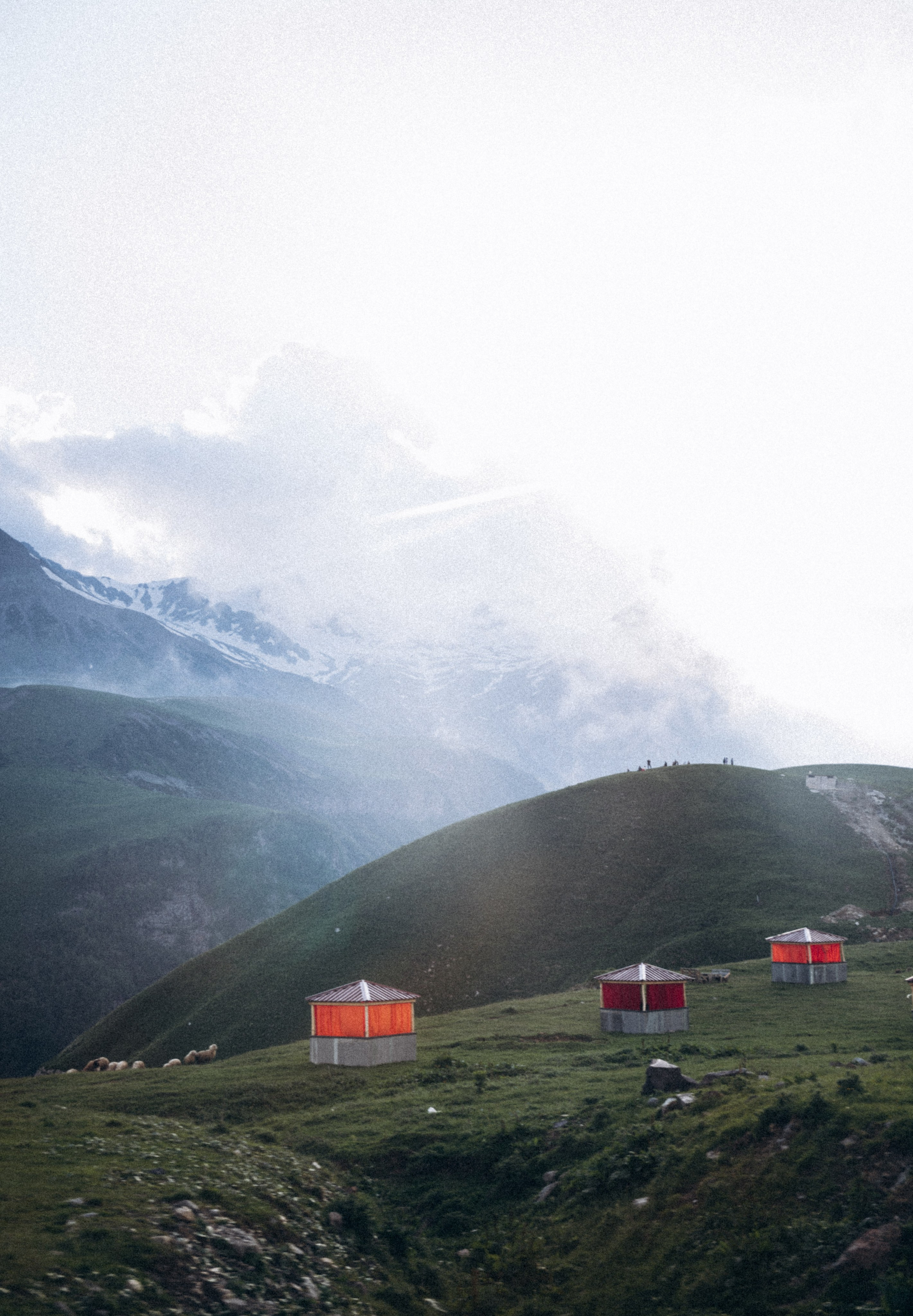 Долина Трусо, Грузия🇬🇪«Honey Trip». Anita_photo