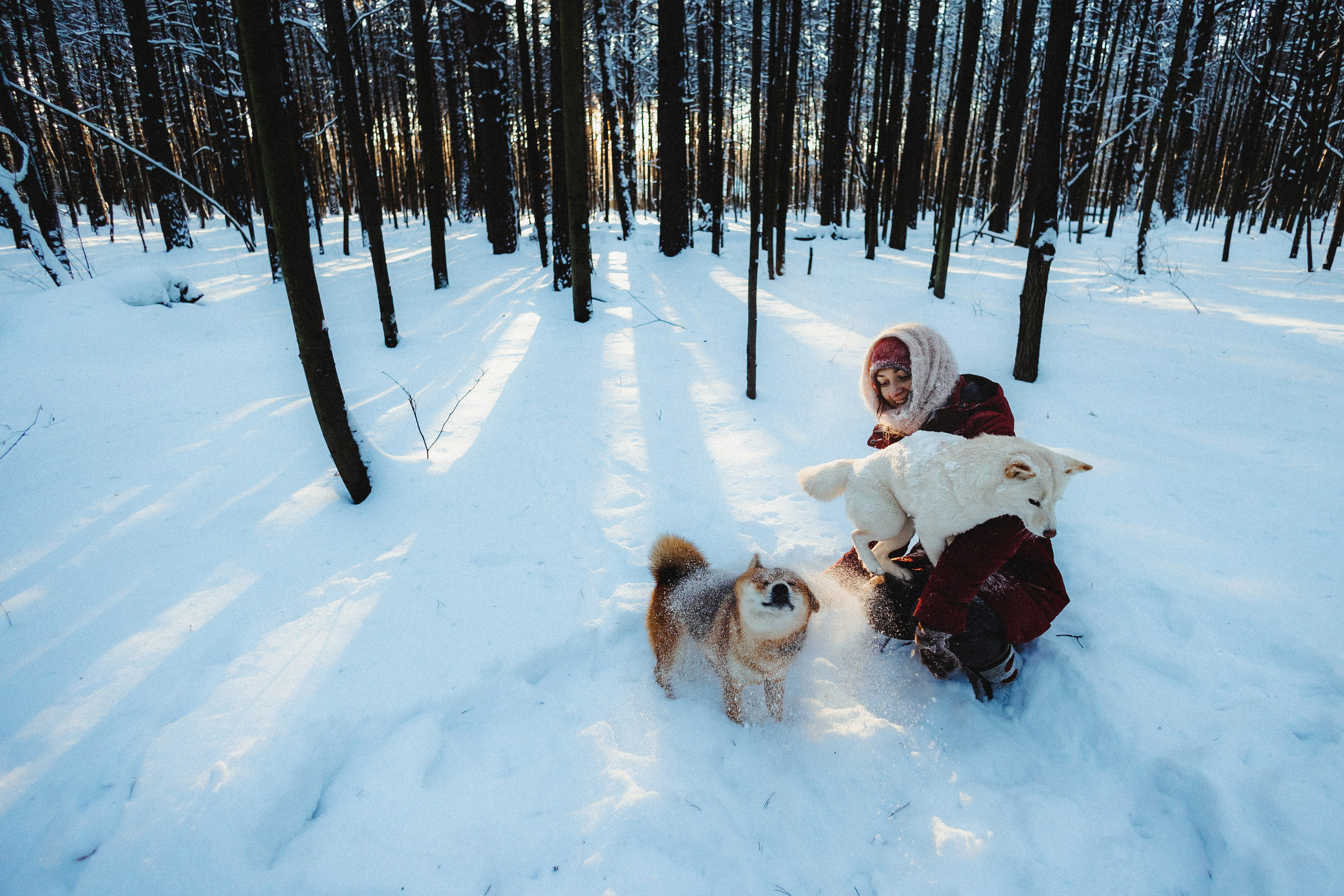 Шед, Цири и Ира