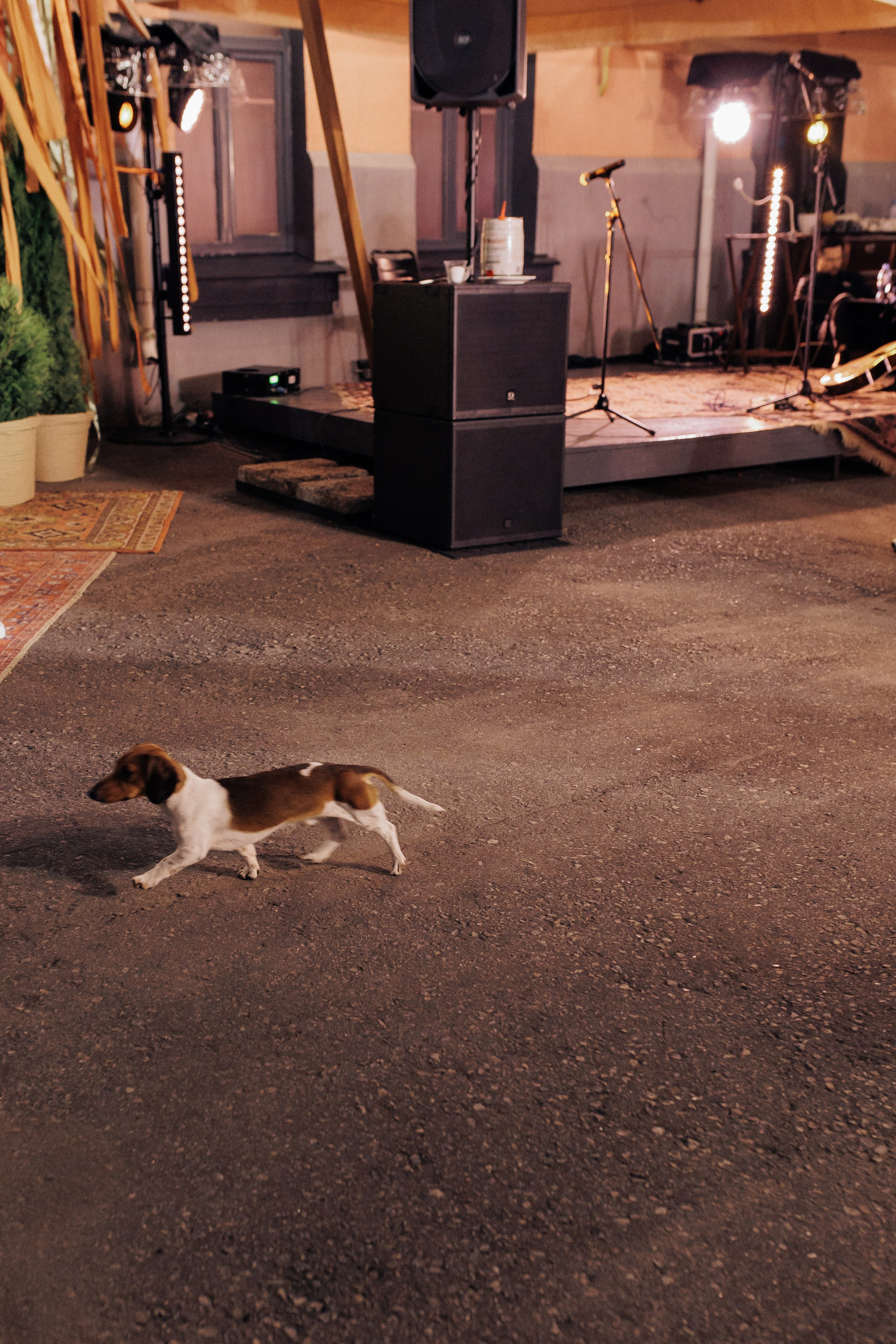 Свадебная Фотосессия с агенством и ведущим. Свадебный фотограф Воронеж