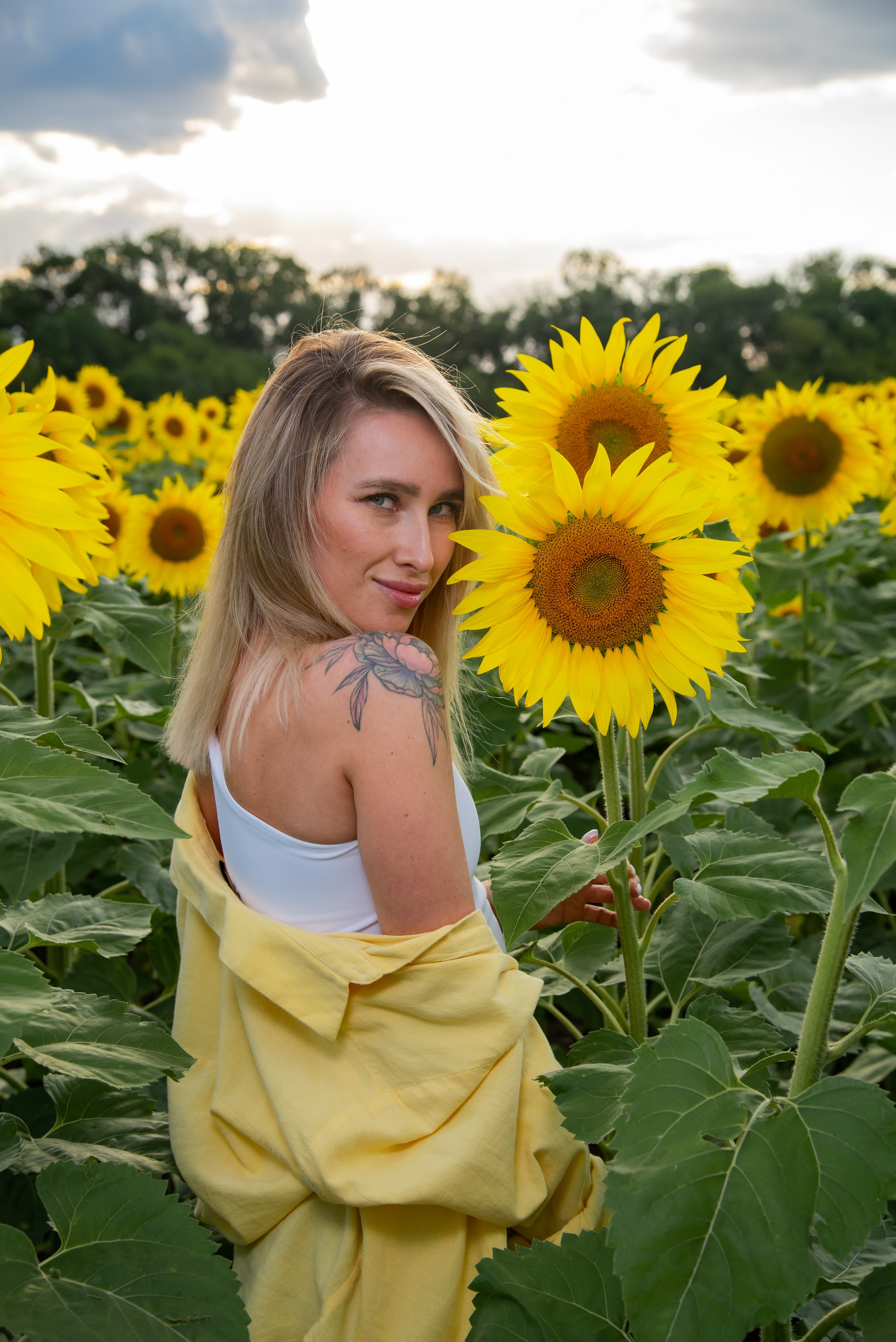 Подсолнух. Фотограф Галина Нестерова