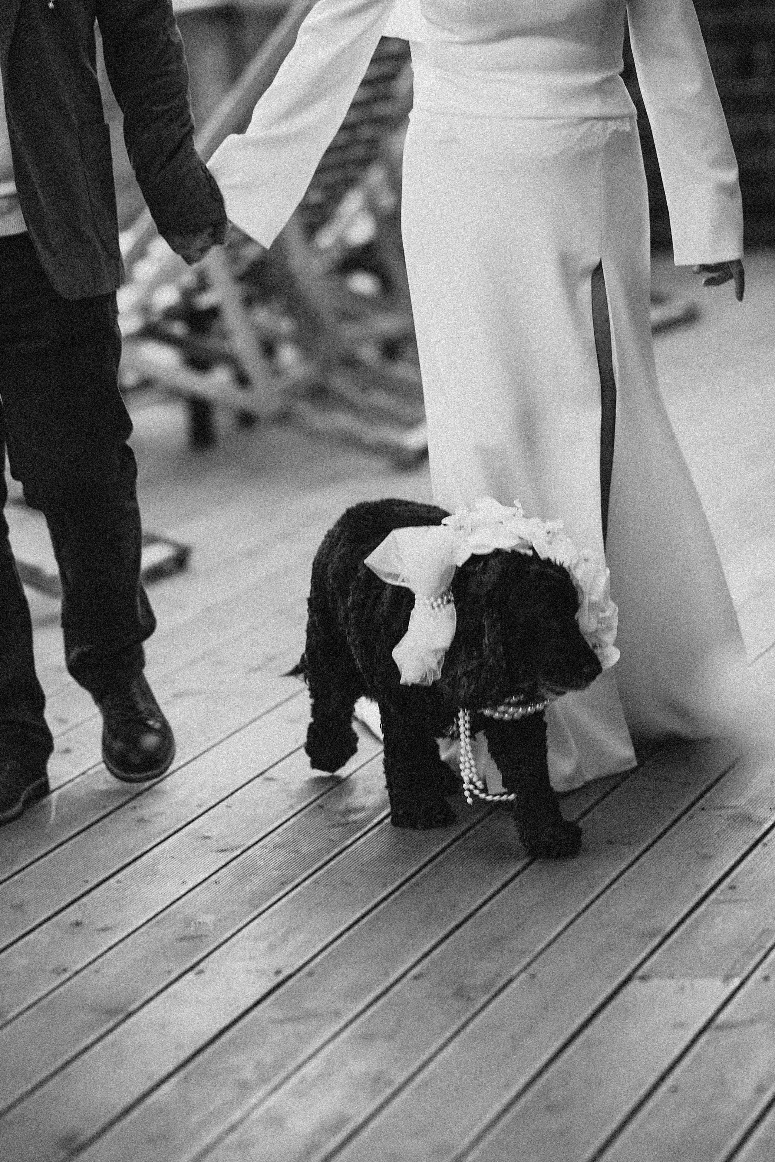 Владислав и Алёне. Алёна Наумова — профессиональный организатор свадеб и мероприятий в Краснодарском крае и на побережье