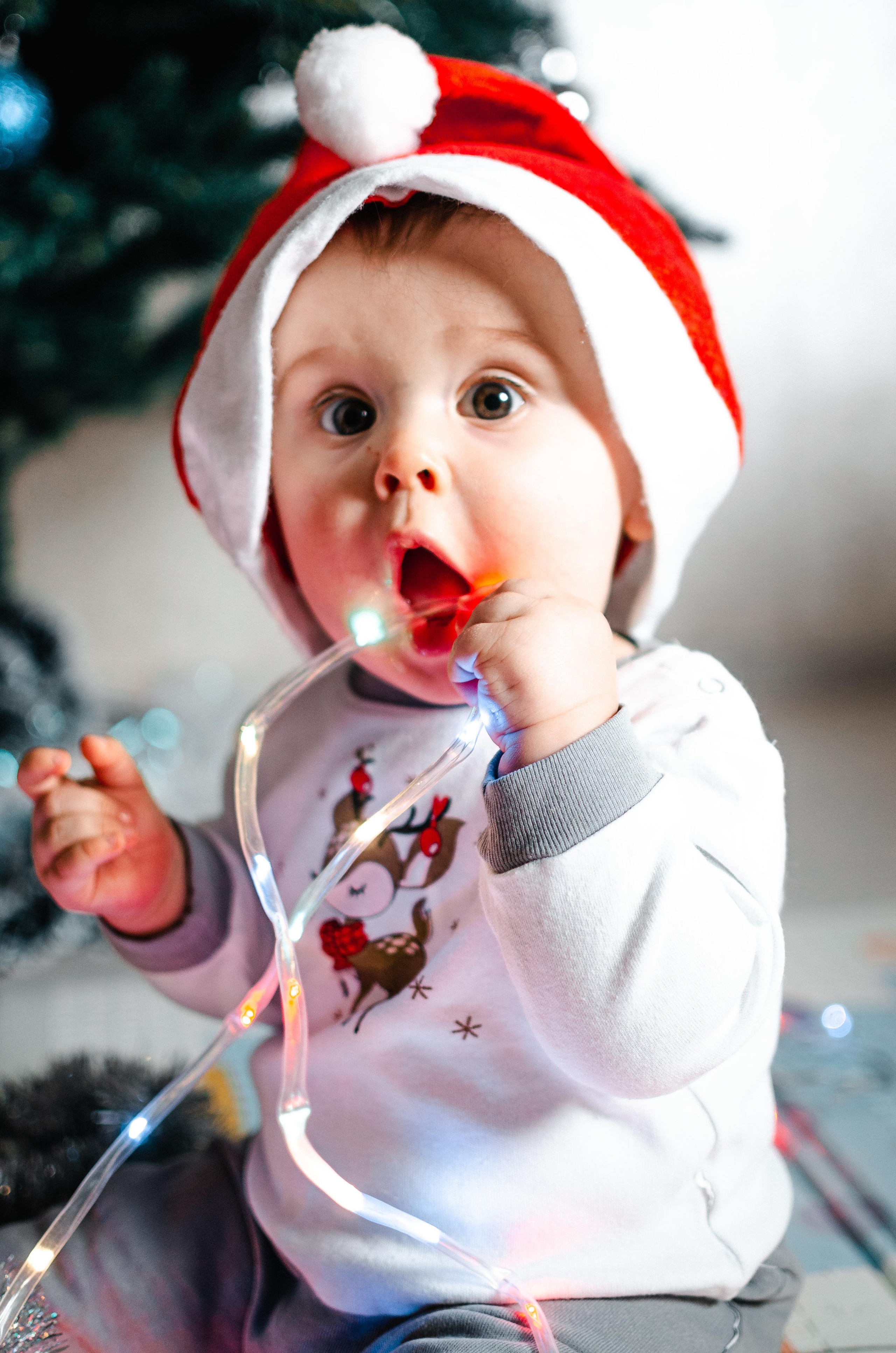 Семейные фотосессии. Свадебный и концертный фотограф в Туле