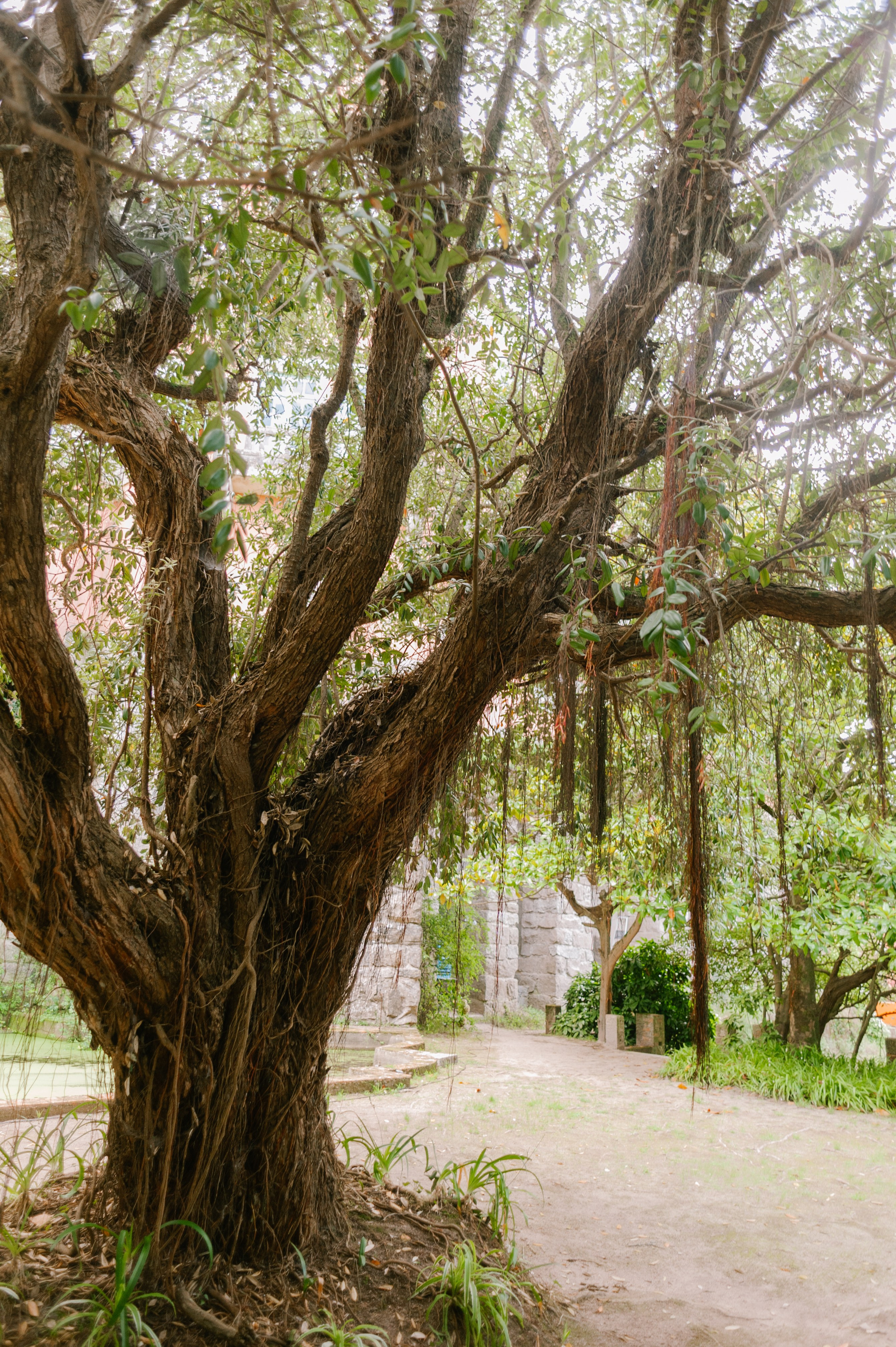 Sintra. Свадебный и женский фотограф в Лиссабоне Яковлева Ольга