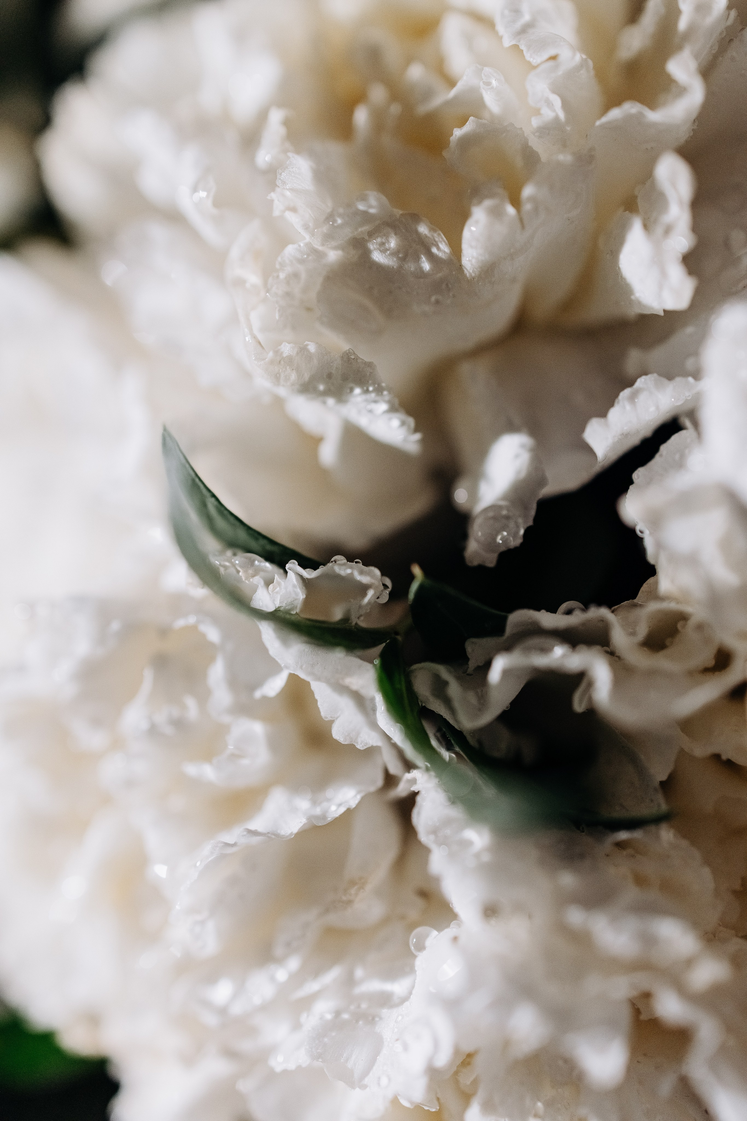 Ксения. Утро невесты. Свадебный и семейный фотограф в Челябинске. Аврамец Анна