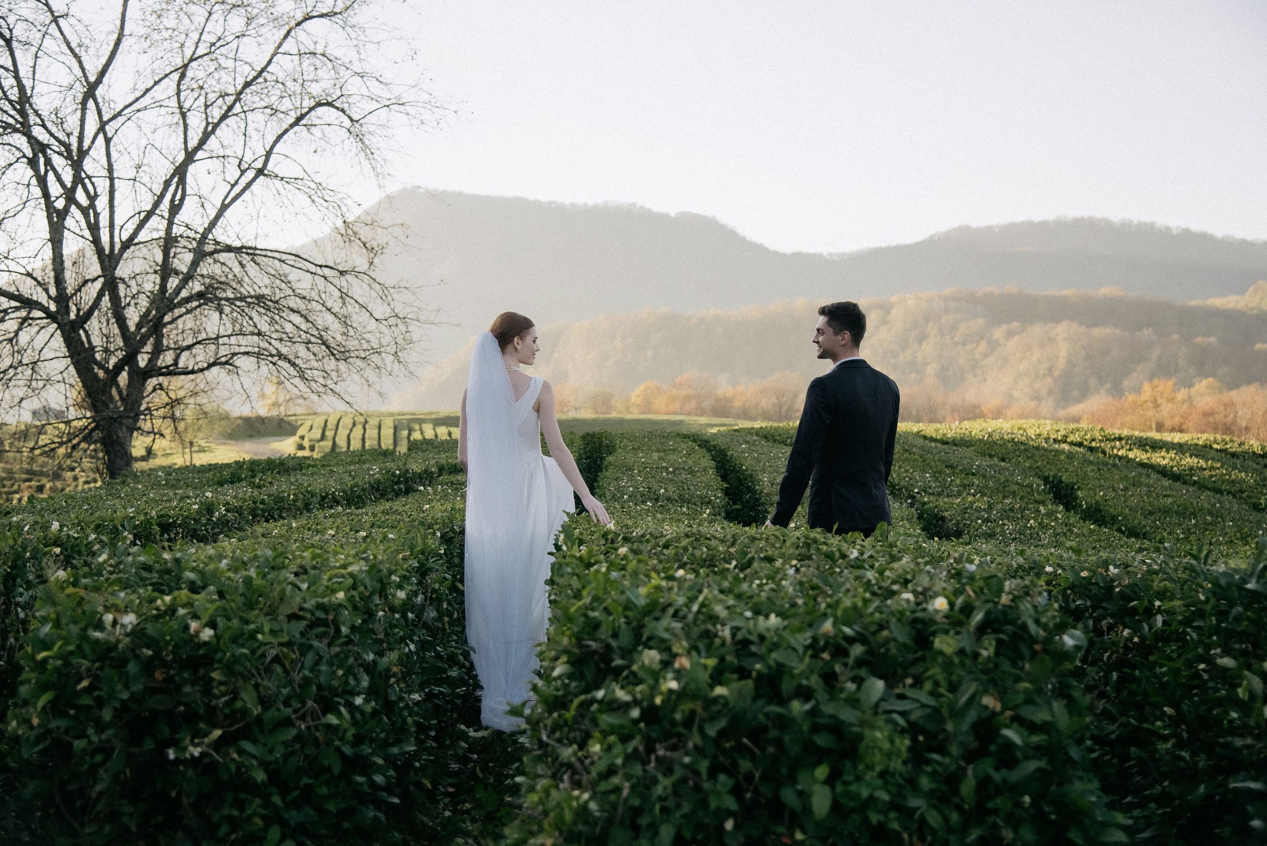 Чайные плантации Сочи. Свадебный и семейный фотограф Темрюк Алёна Ковальская