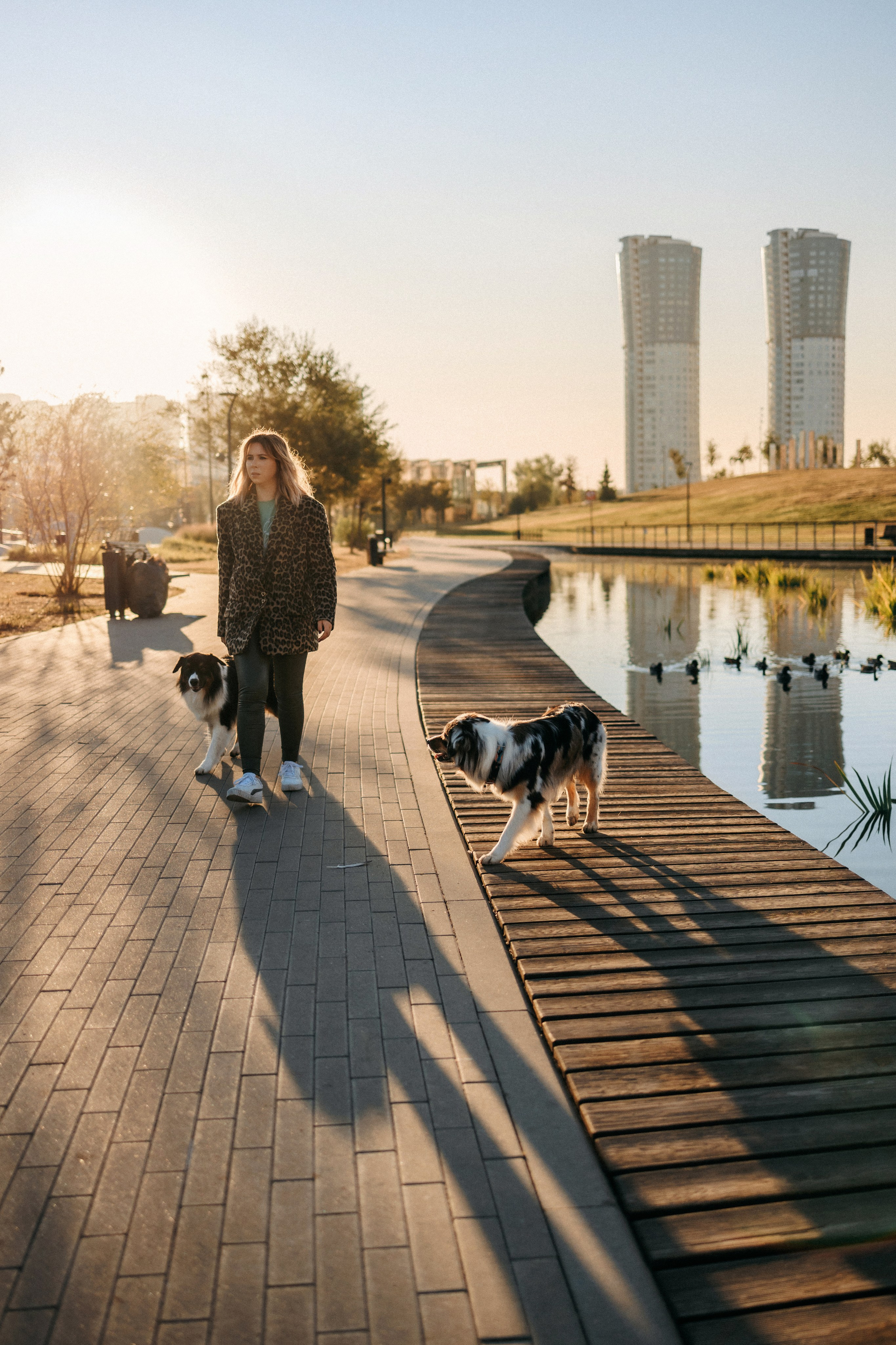 Аня, Чарли и Ева. Фотограф-анималист Елена Радченко, Москва