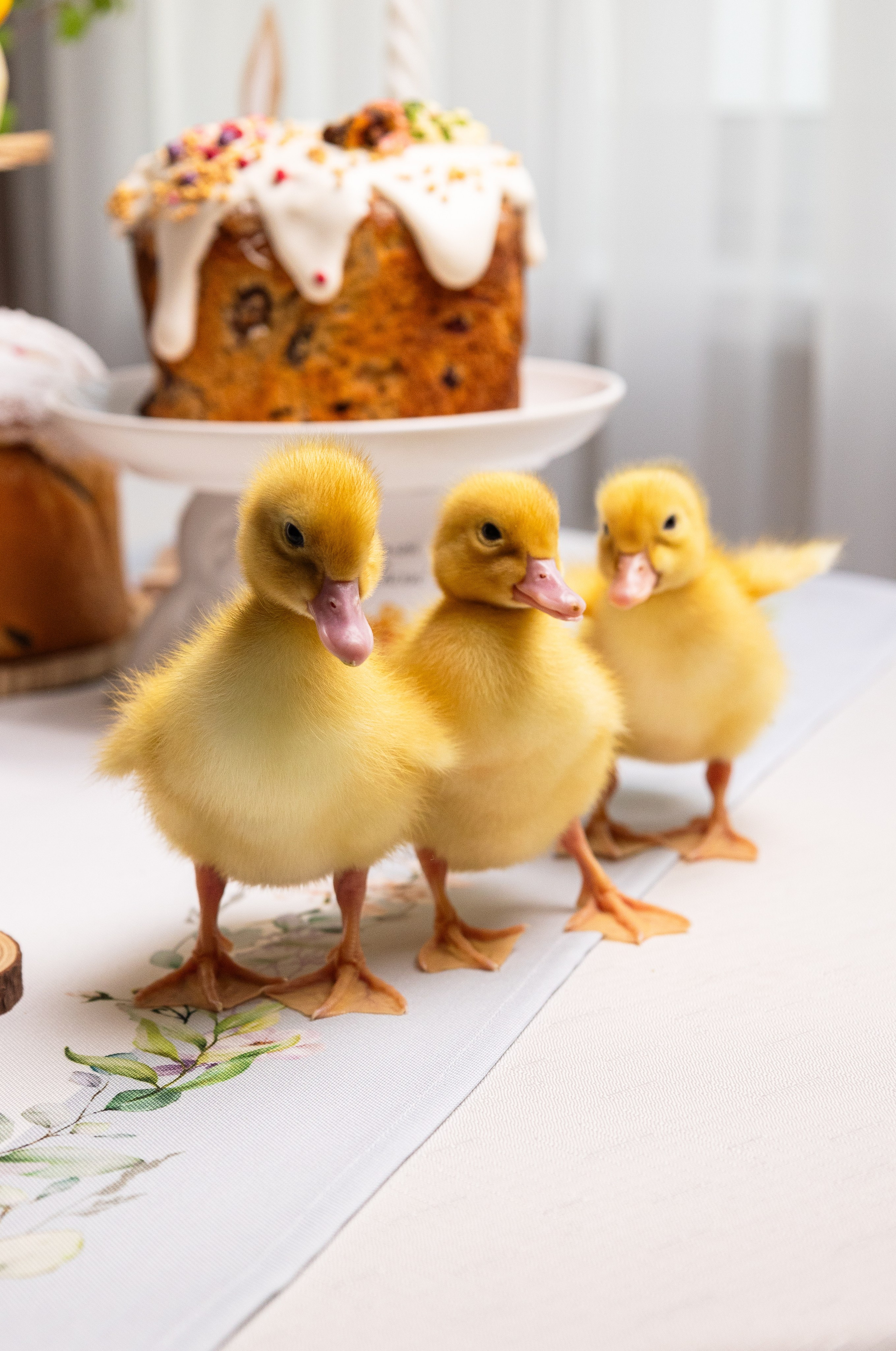 Пасхальная съемка для кондитера. Предметный и фуд-фотограф Лариса Андреева г. Набережные Челны