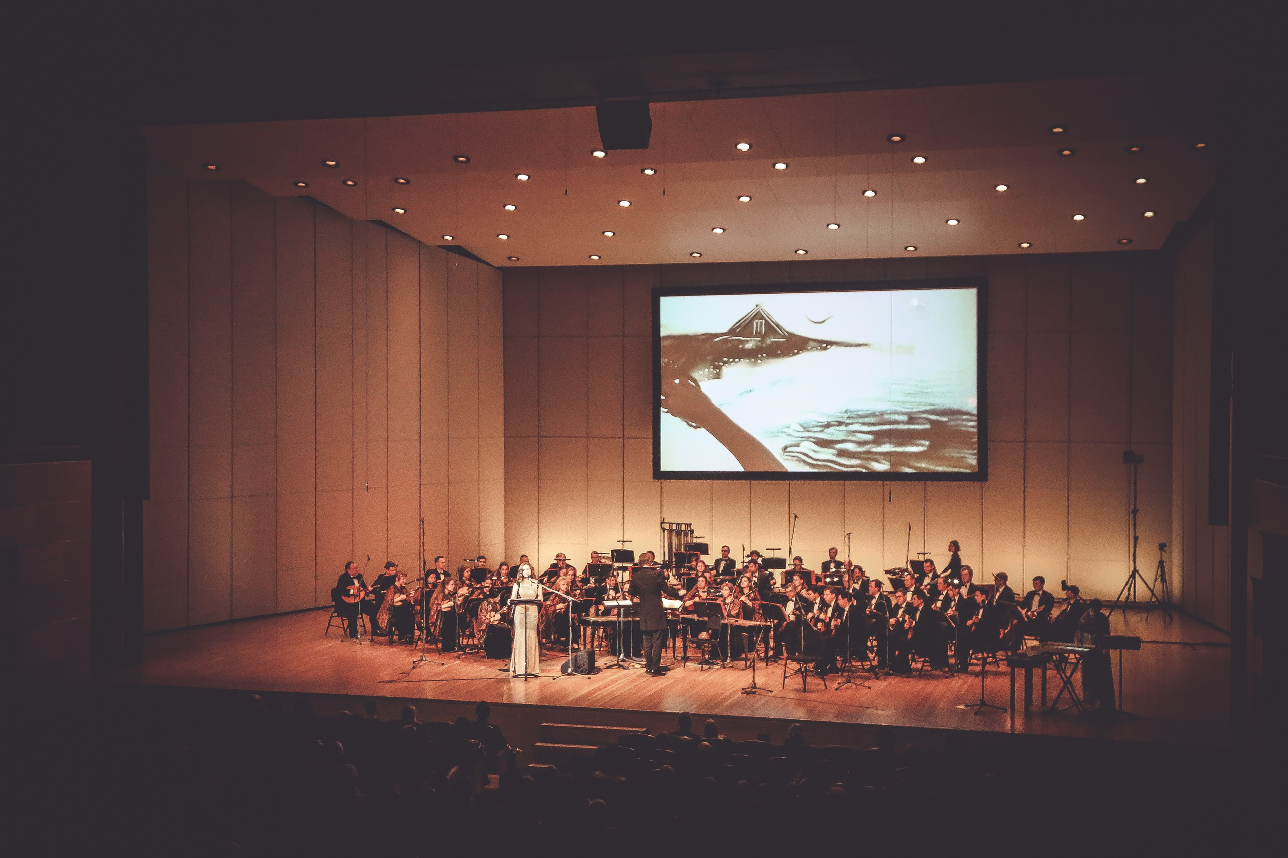 Концерт «Сказки Пушкина» с Екатериной Гусевой. Дарья Письменюк / Darya Leitstern — фотограф, музыкант, журналист, путешественник