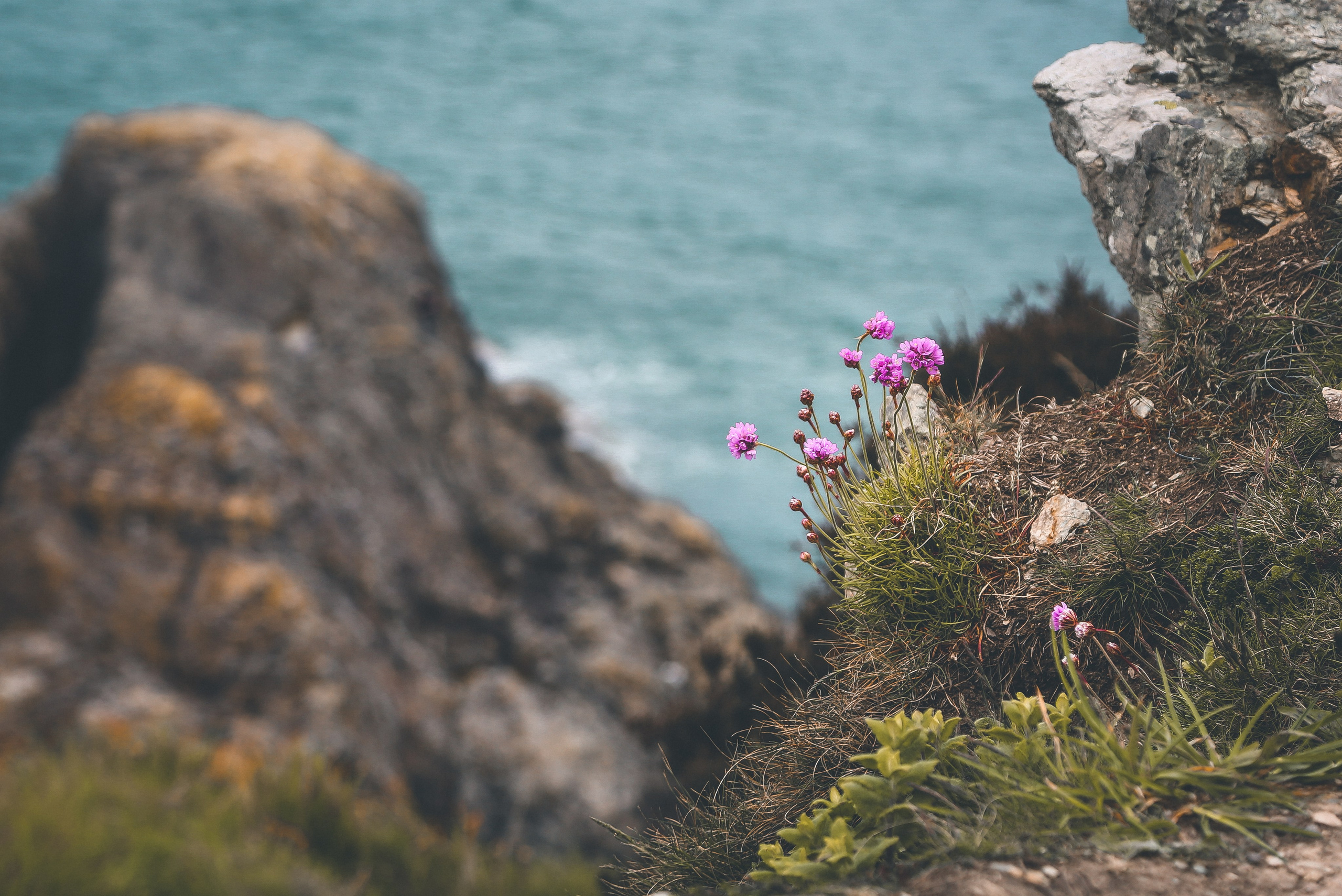 Ирландия: Хоут — тропинка на одного. Дарья Письменюк / Darya Leitstern — фотограф, музыкант, журналист, путешественник