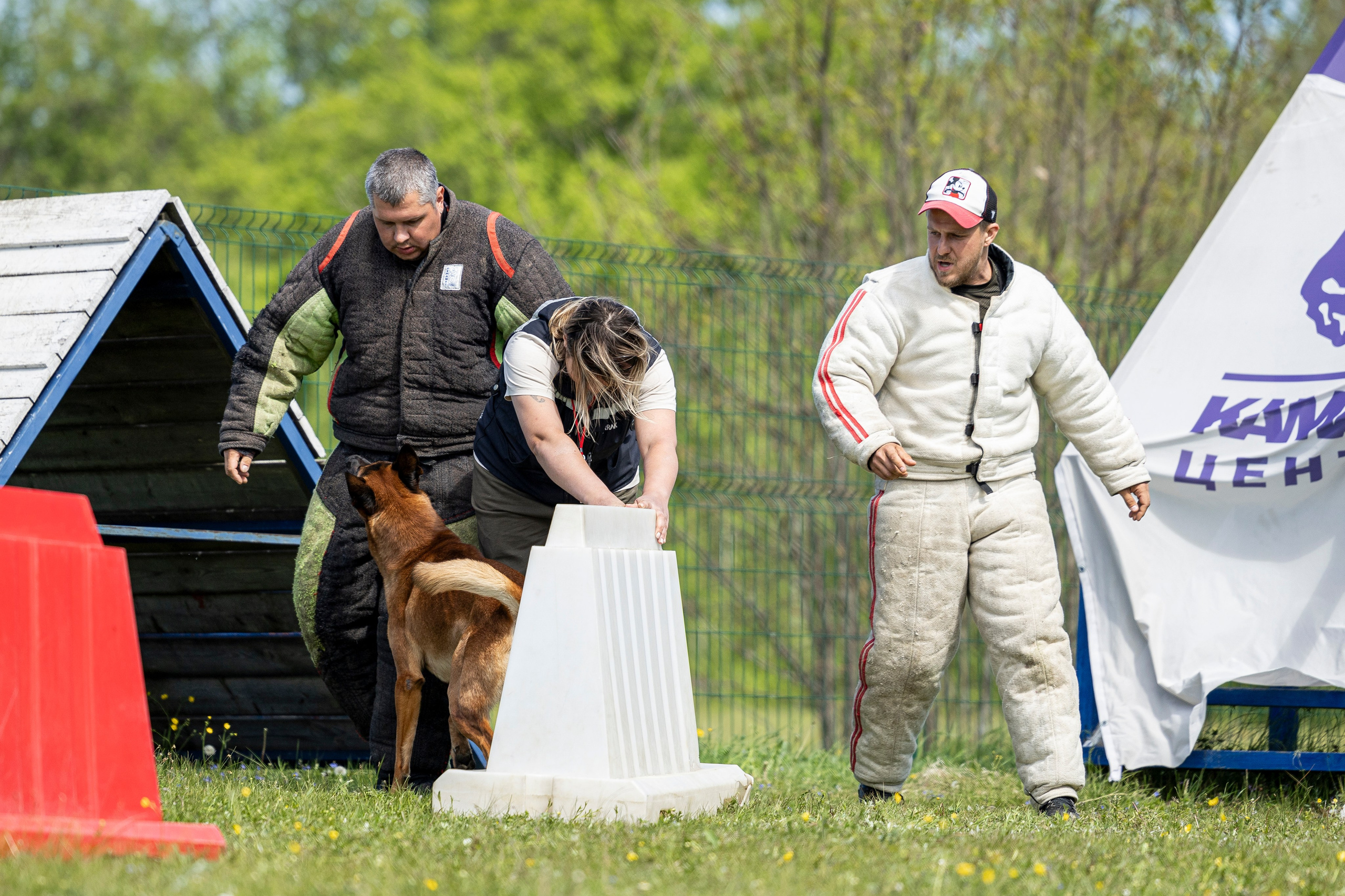 Испытания по мондьорингу в Нижнем Новгороде. Фотограф-анималист Анна Маринич