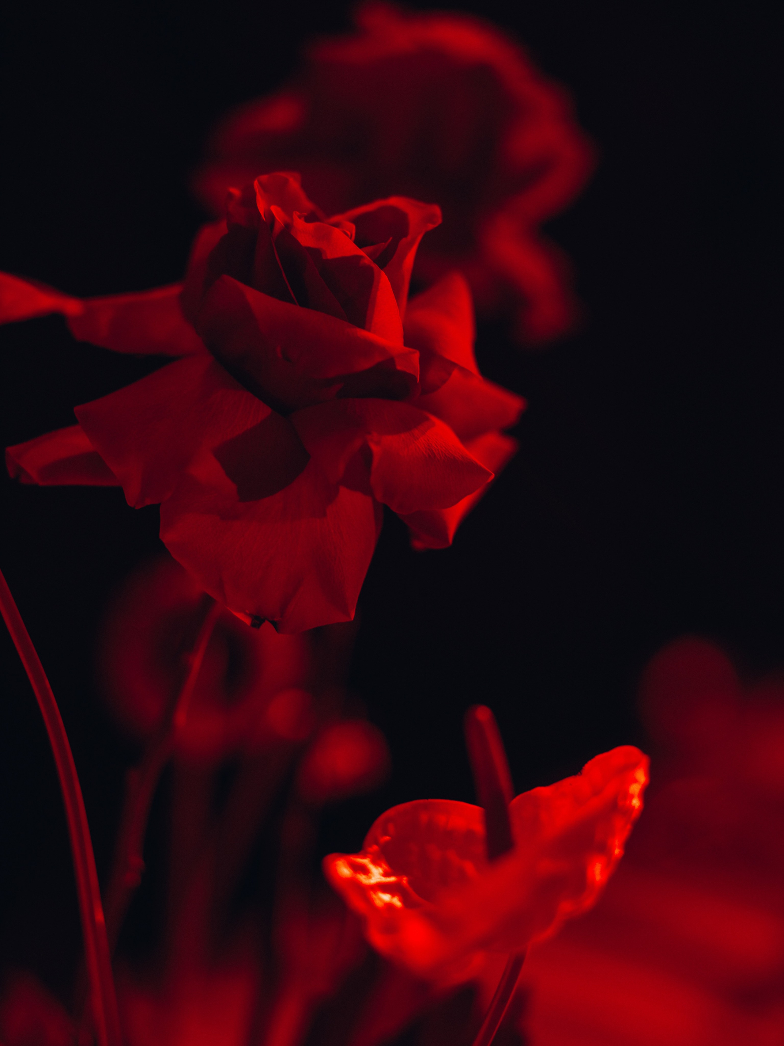 Бизнес-контент | репортаж