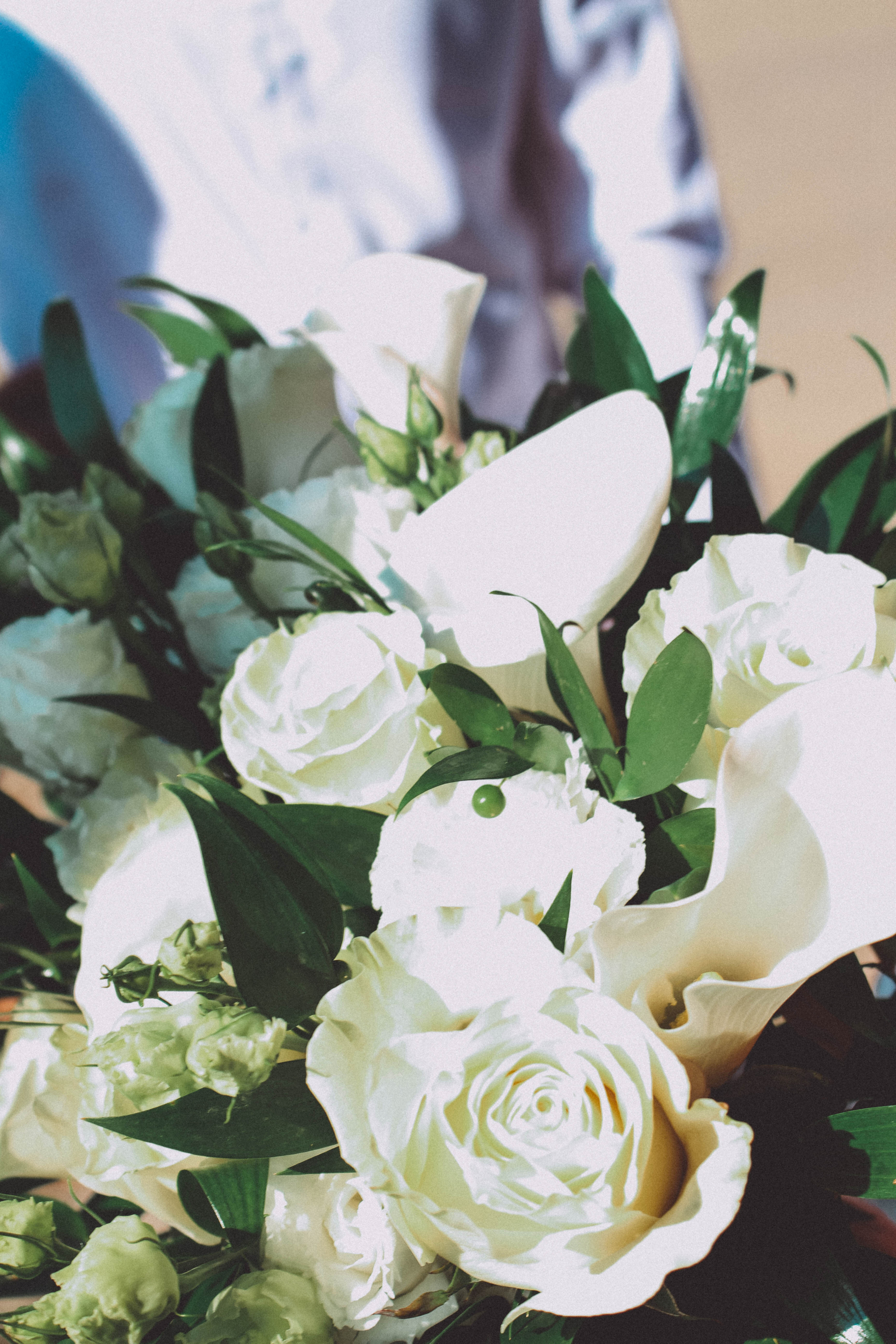 Светлана & Алексей. Фотограф Шагалов Михаил