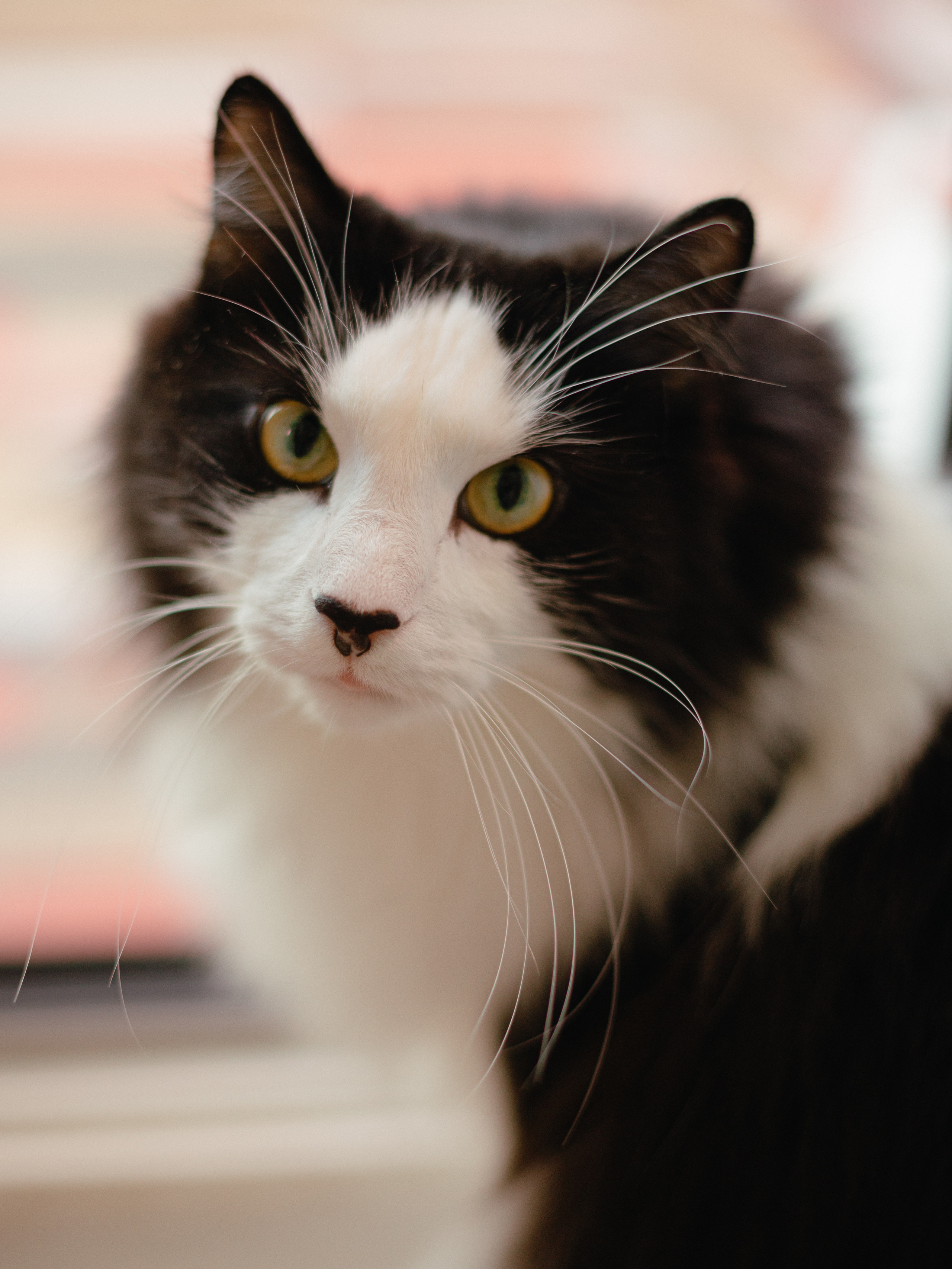 Андрей, Александра и Тая. Контент фотограф в Санкт-Петербурге Елена Кегель