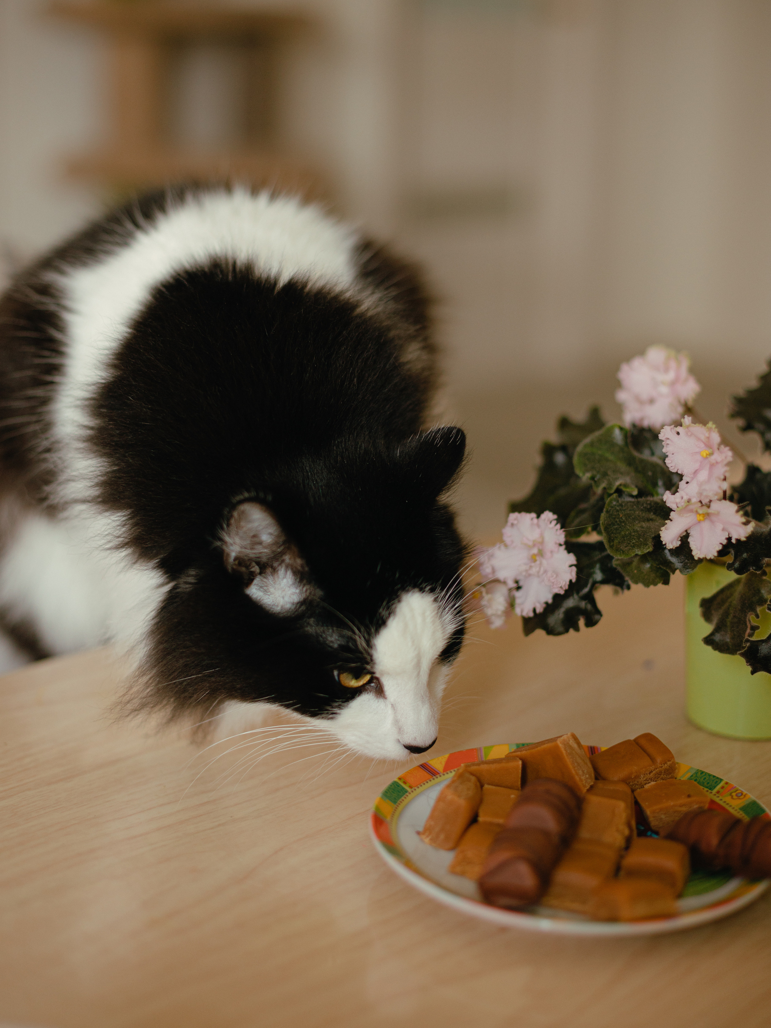 Андрей, Александра и Тая. Контент фотограф в Санкт-Петербурге Елена Кегель