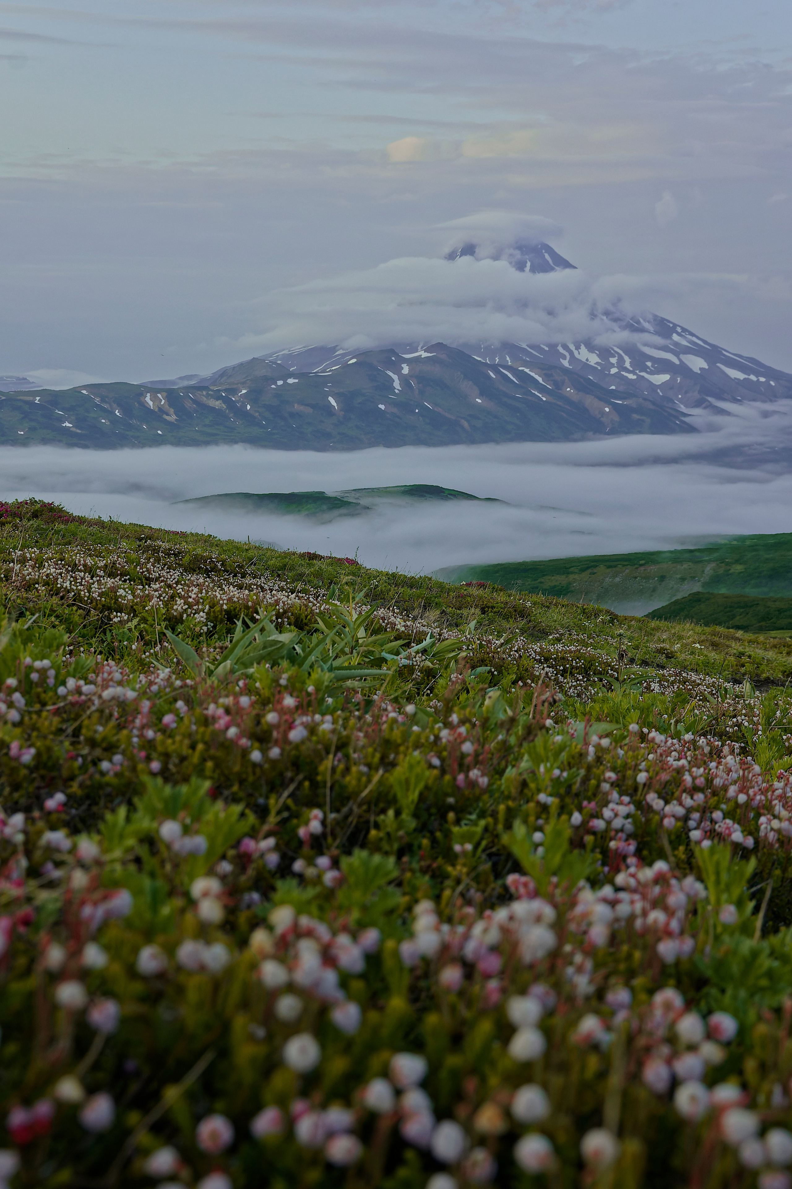 Камчатка. Фототрип. Тур?. Семоха Валерий. Фотограф