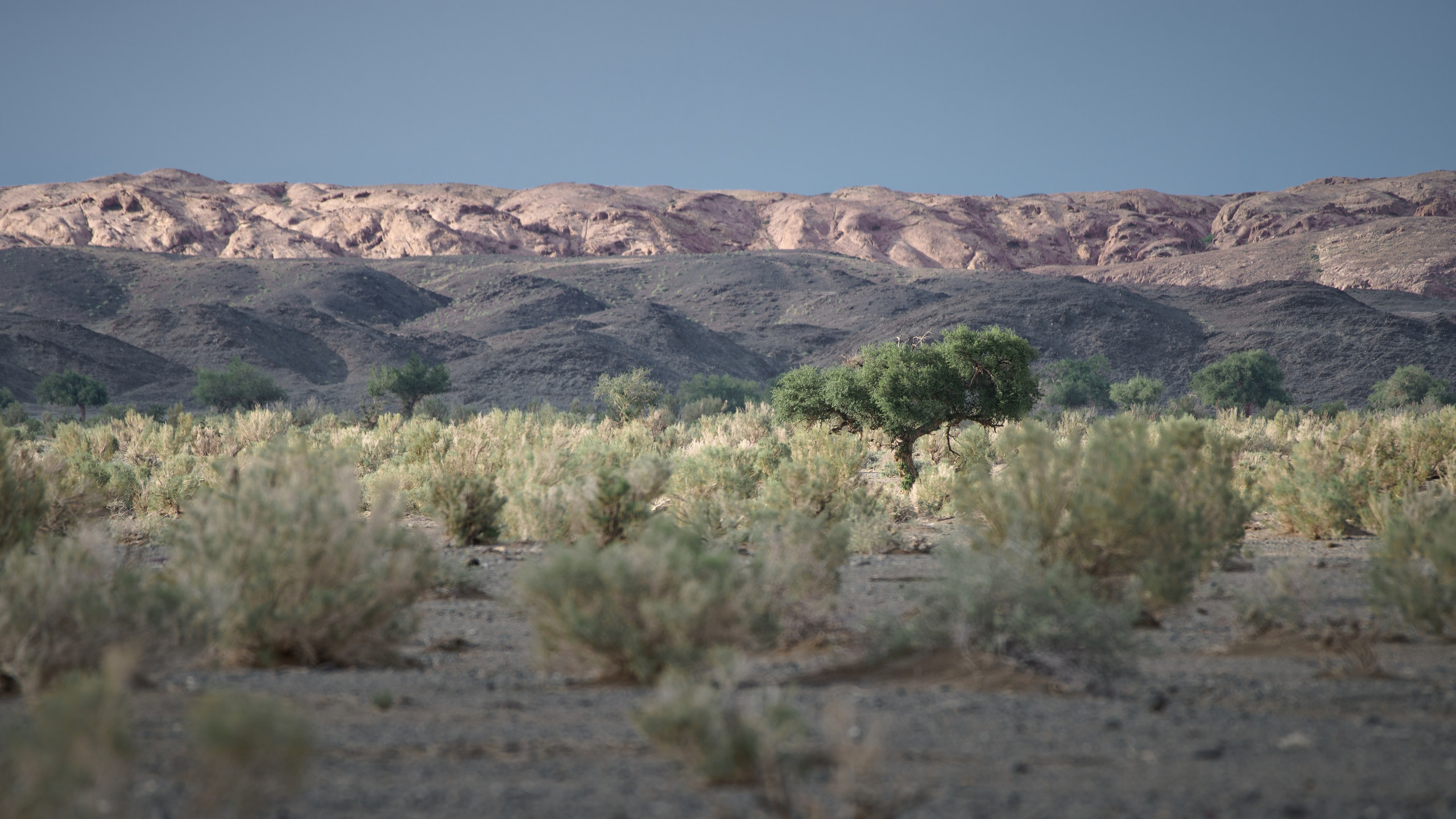 Экспедиция в Монголию (Гоби). Семоха Валерий. Фотограф