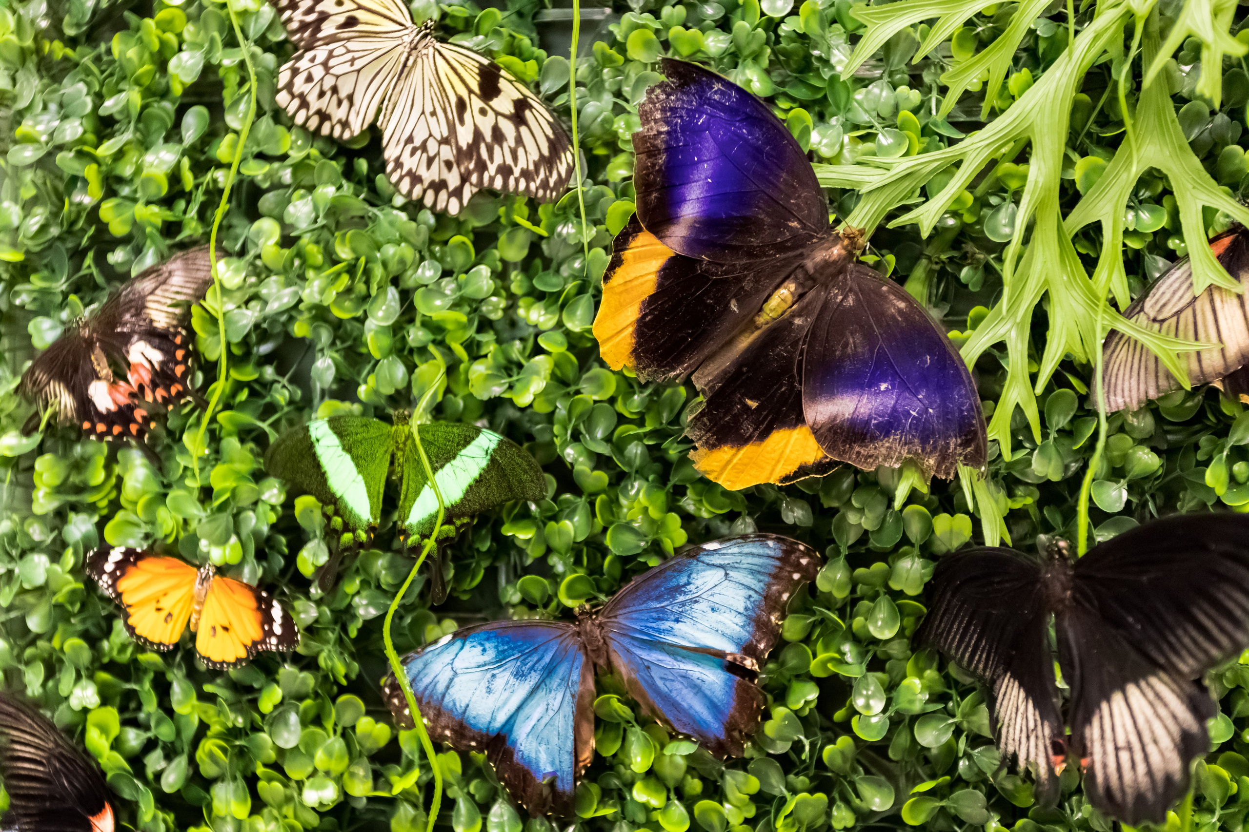 Фотосъемка коммерческих помещений для сайта, карт, соц.сетей. Интерьеры, Контент, Портреты | Фотограф в Москве Дани Терно