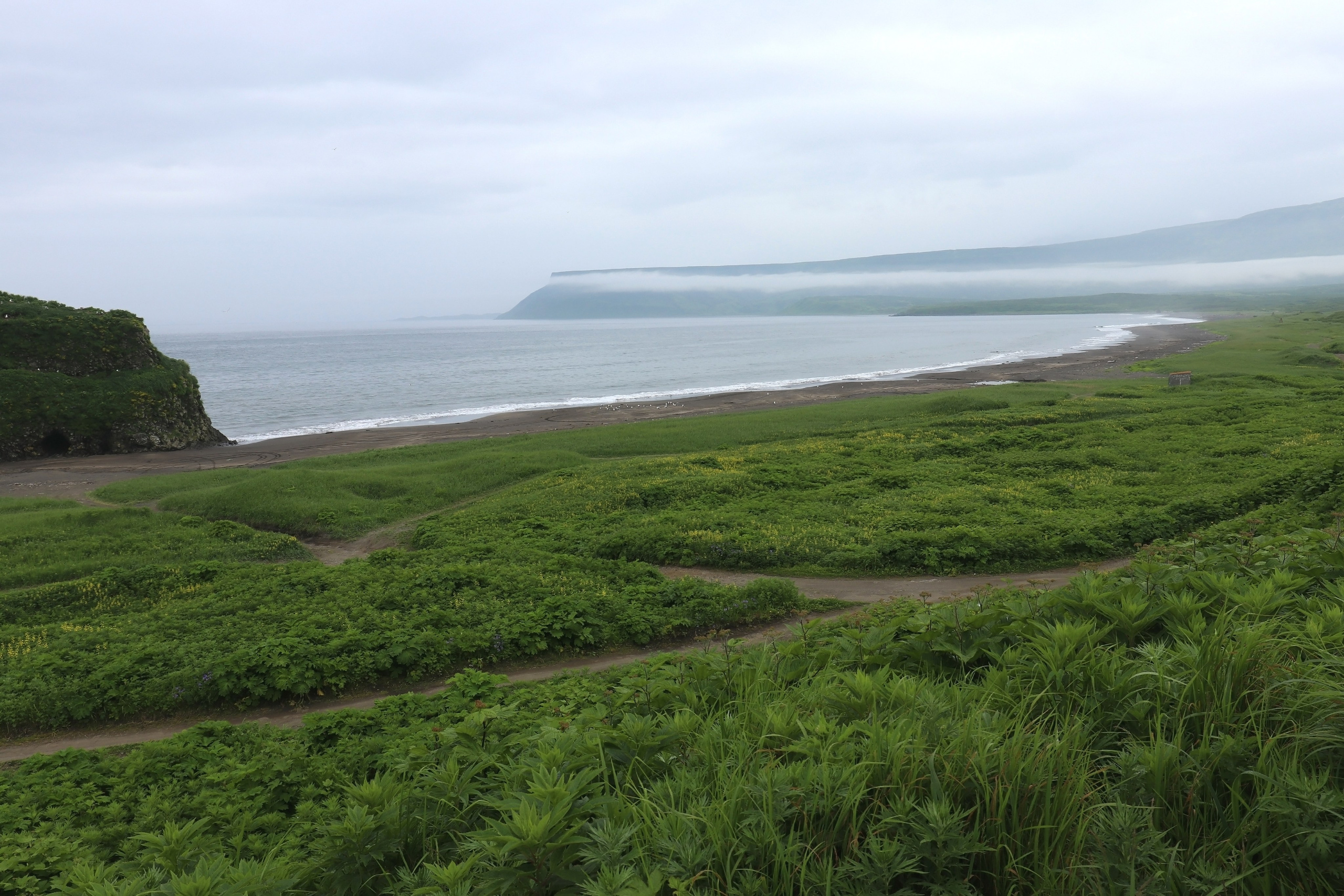 Камчатка и о. Парамушир. Июль 2024. Путешественник-фотограф из Санкт-Петербурга Татьяна Свистулина