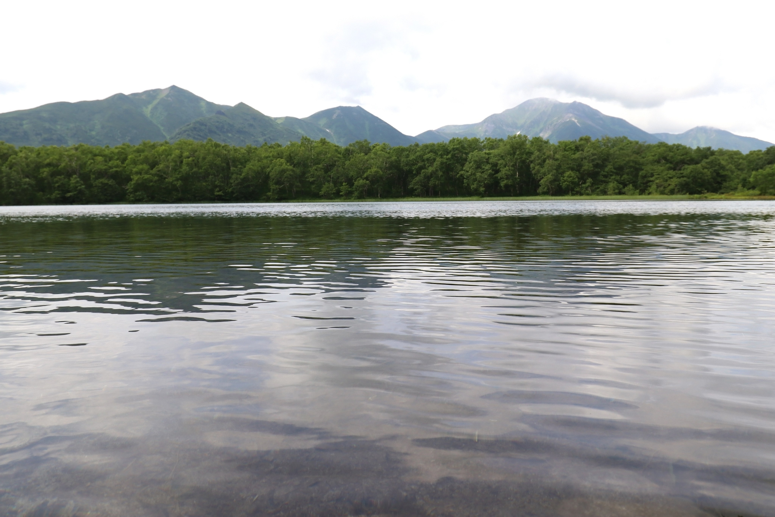 Камчатка и о. Парамушир. Июль 2024. Путешественник-фотограф из Санкт-Петербурга Татьяна Свистулина