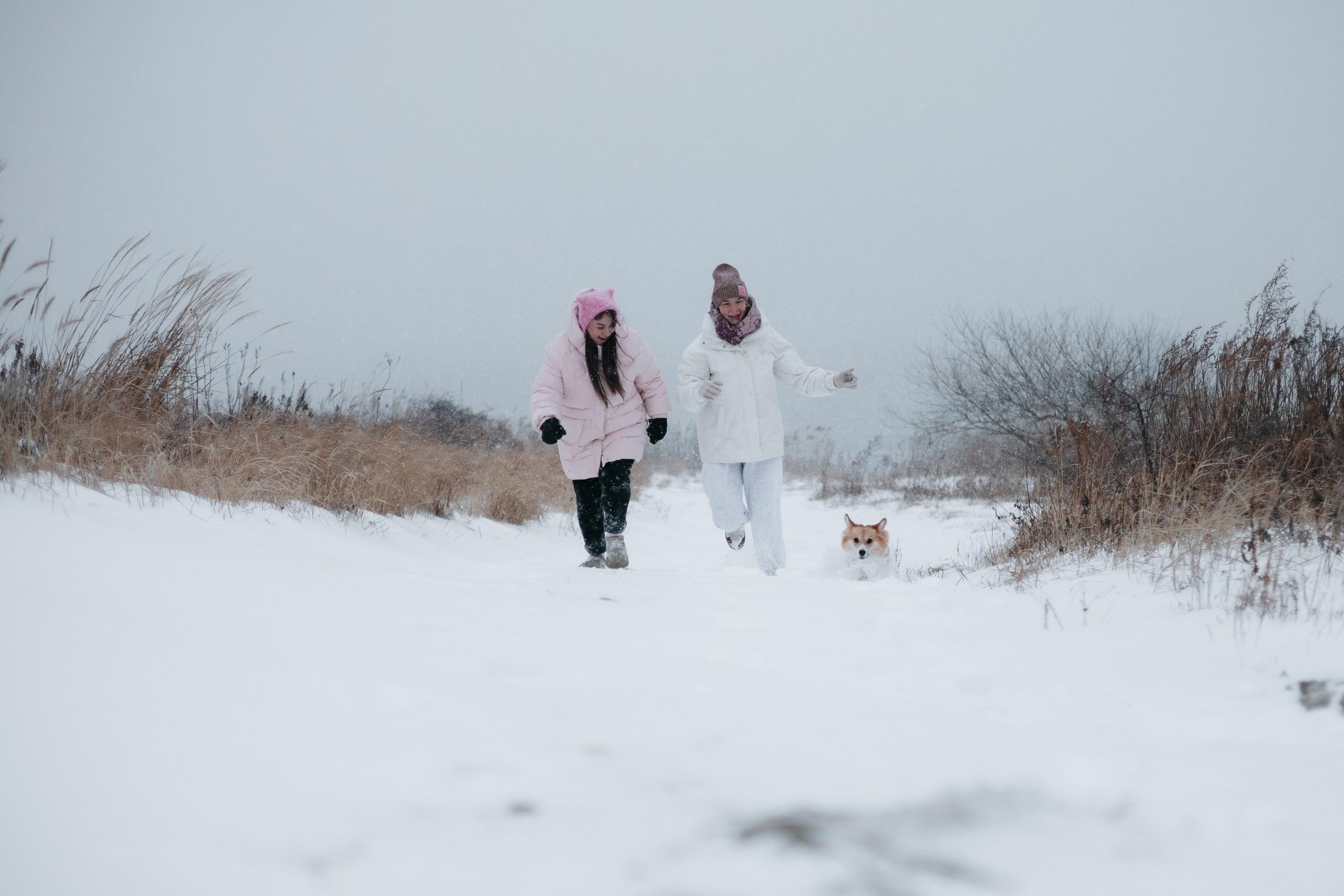 Лена, Лиза и Мия. Фотограф — анималист Владивосток, Алина