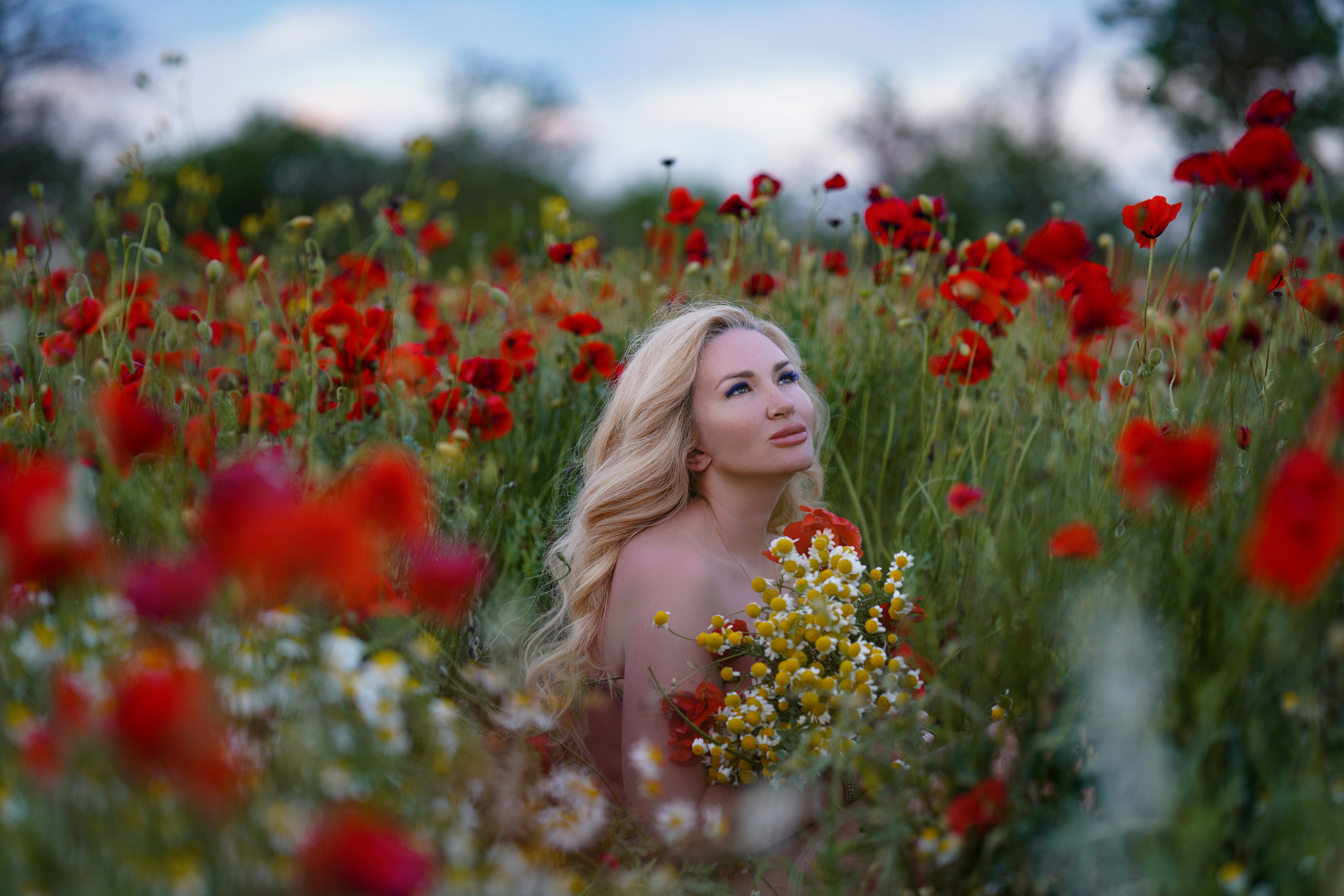 Маковое поле. Фотограф в Крыму Лебедева Александра