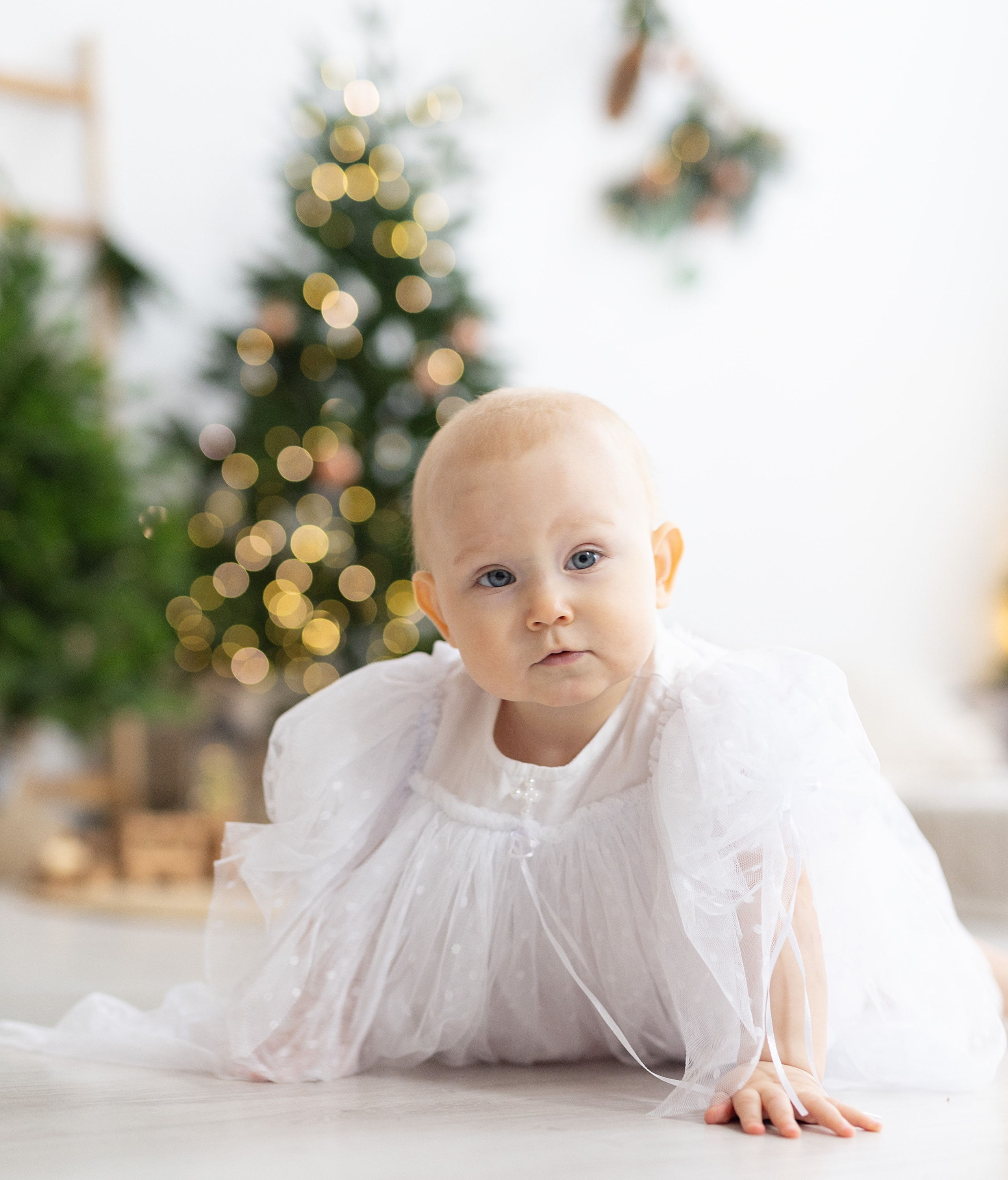 Семья Поляковых. Семейный и свадебный фотограф в Долгопрудном Виктория Моисеева