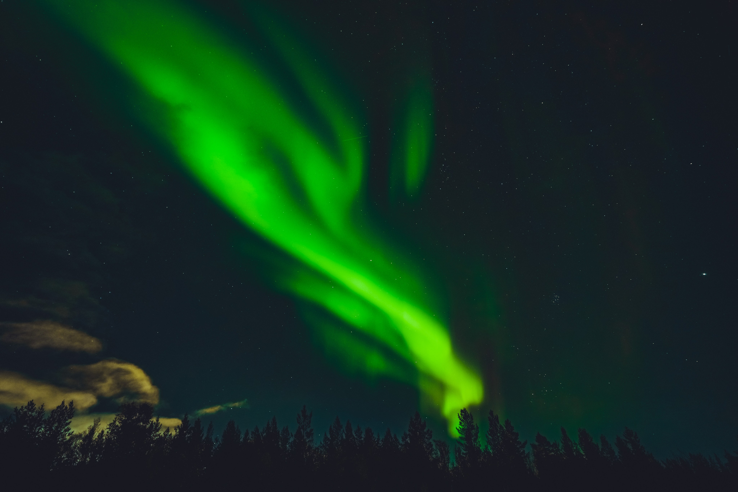 СЕВЕР. Event фотограф Степанова Александра