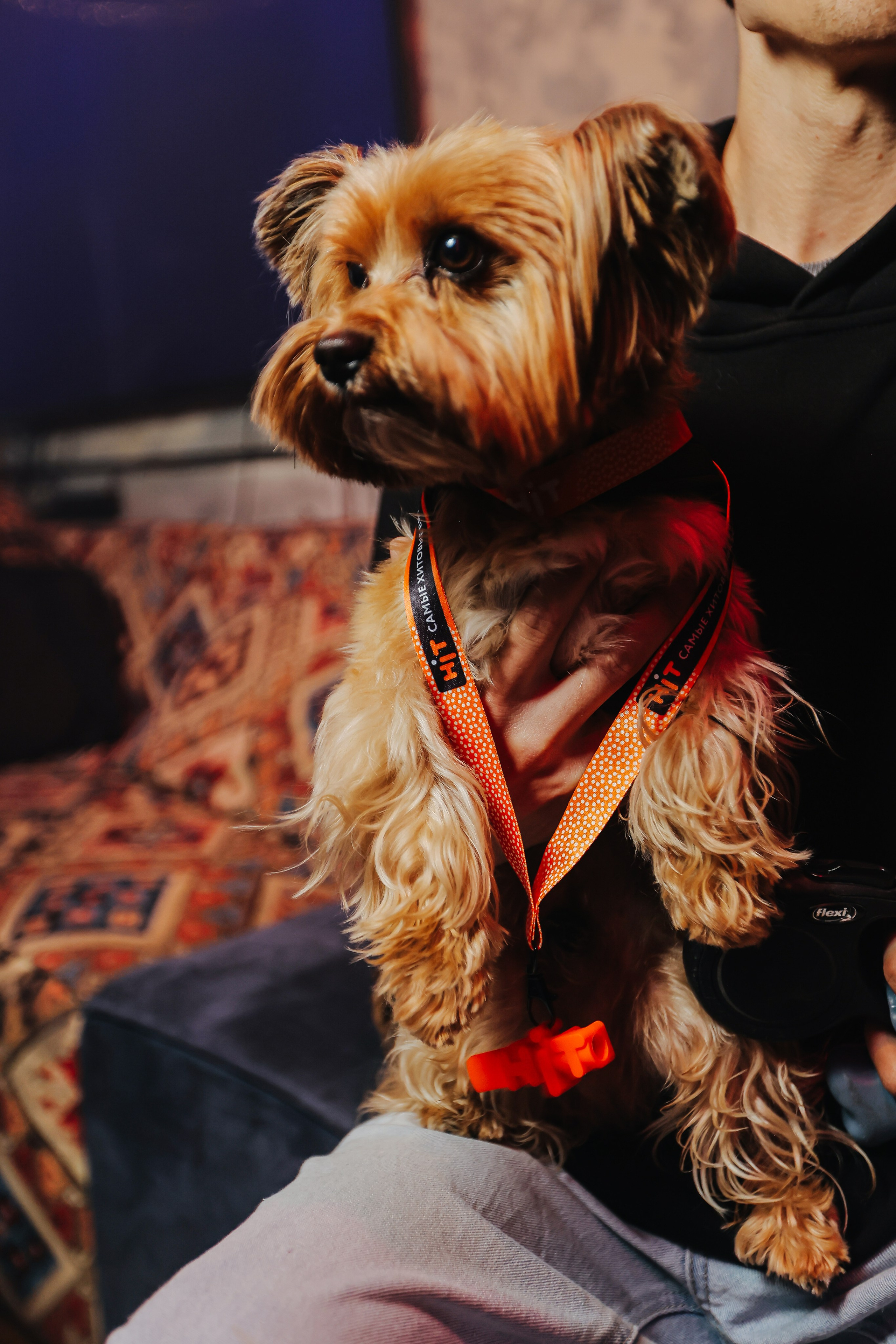 Lounge. Фотограф в Набережных Челнах Дмитрий Колесников