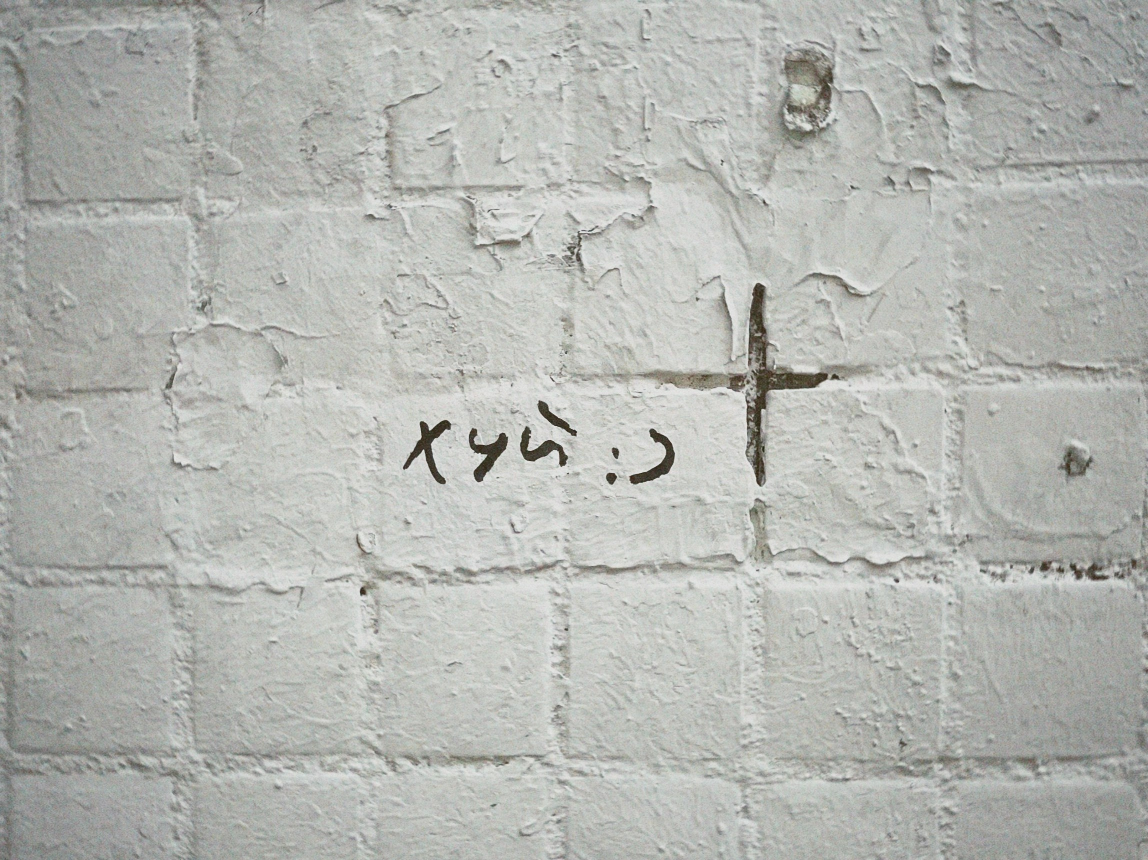 Street Caps. Alina Panover