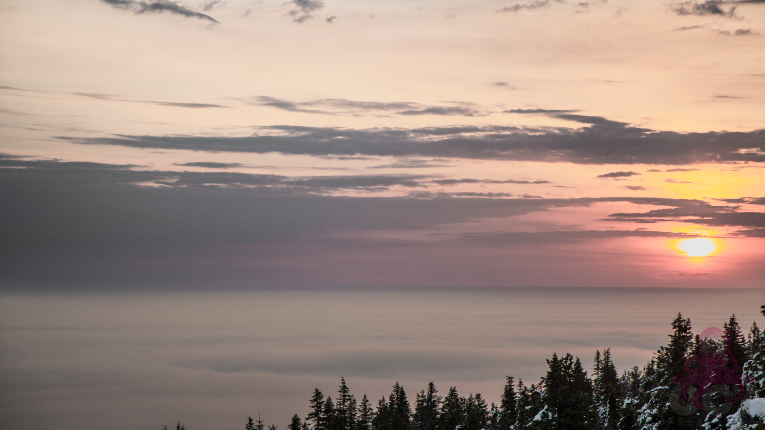 Буддистский монастырь Шад Тчуп Линг. Предметный и репортажный фотограф Алексей Кротов