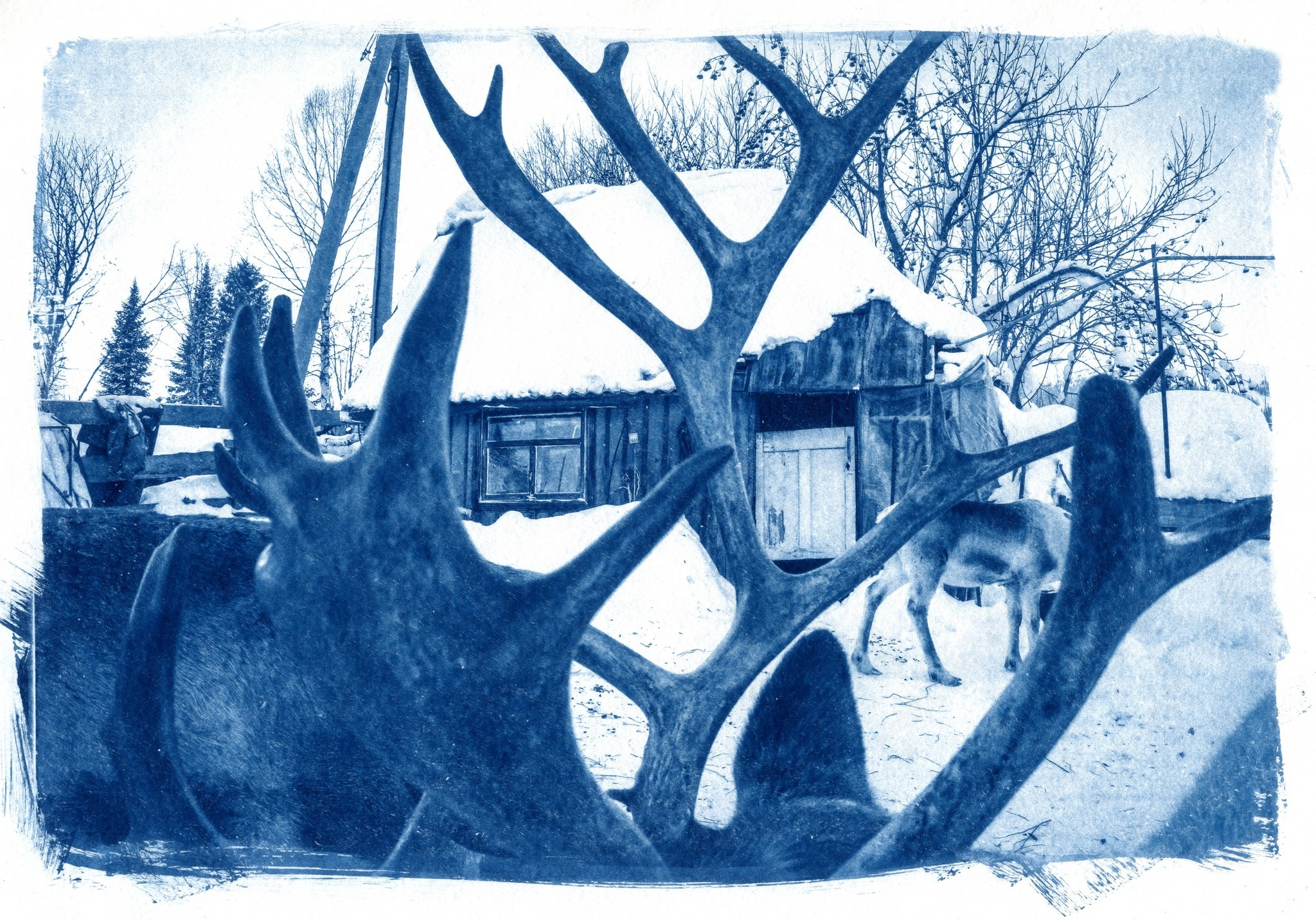 Дом снега. Shatohina.com