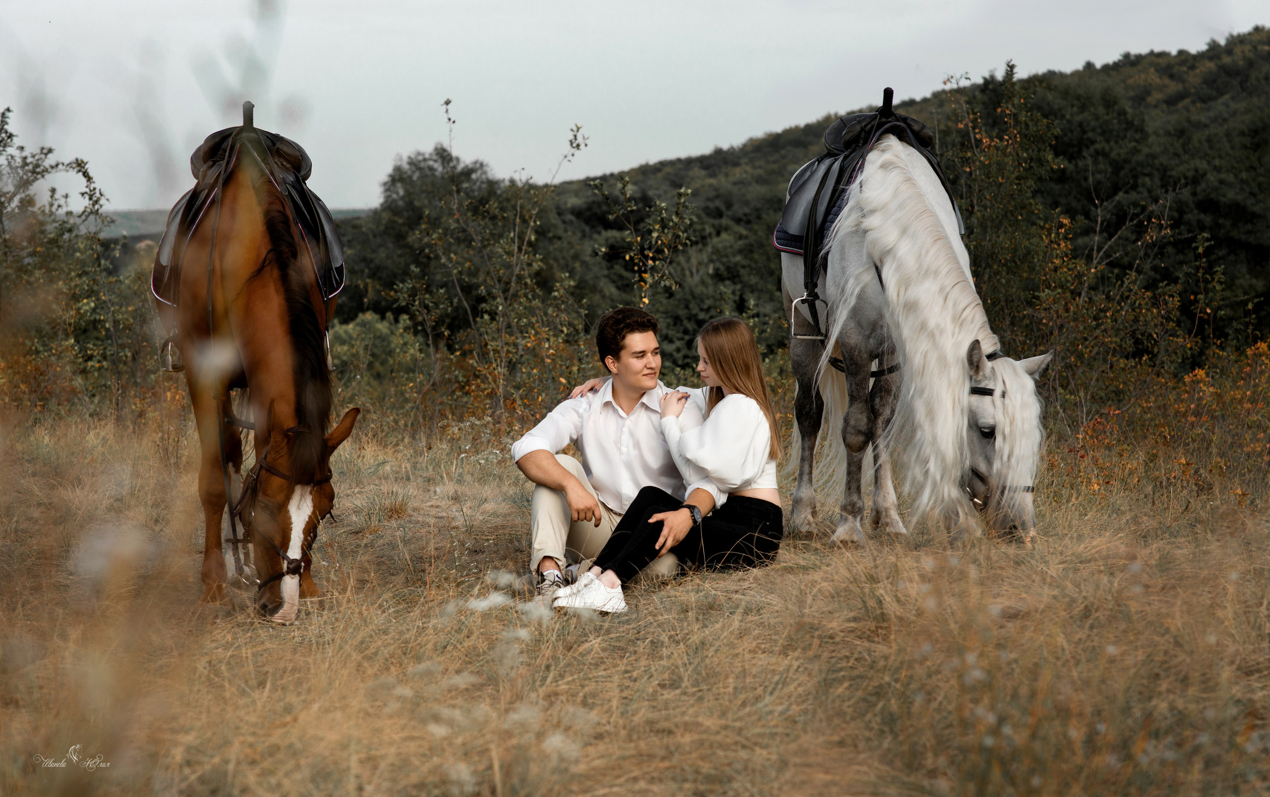 Дмитрий и Анастасия, Феникс и Вымпел. Конный фотограф в Саратове Юлия Иванова