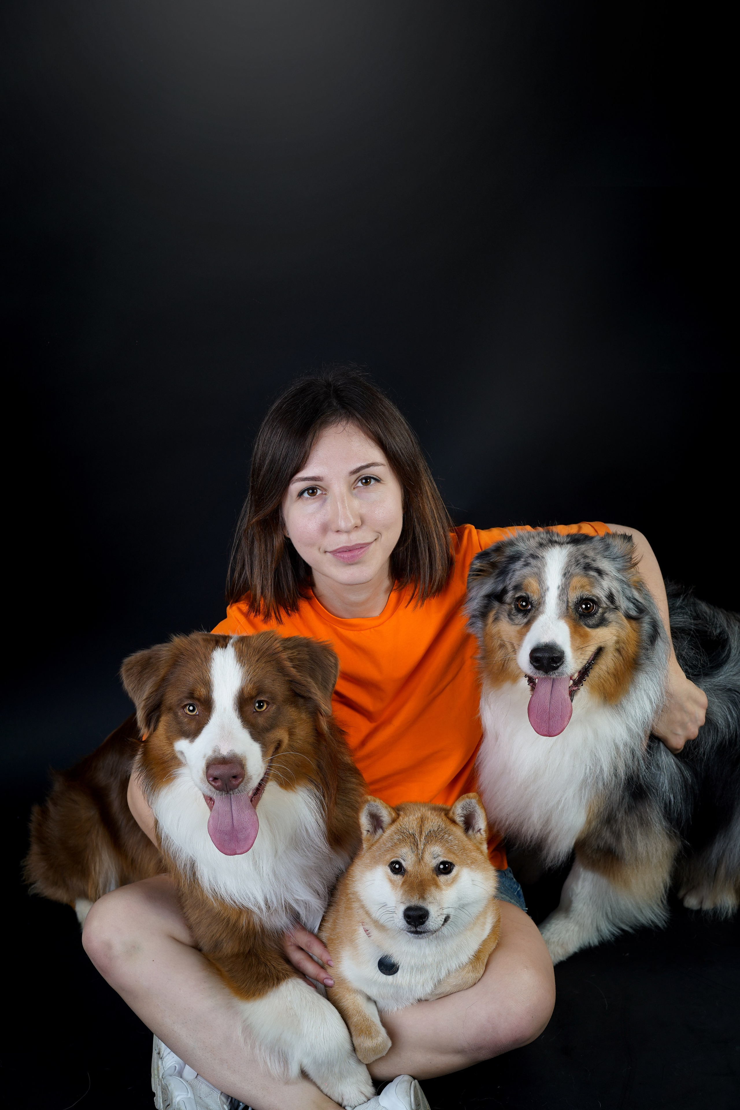 Ксюша, сиба Тэффи и австралийцы Арчи и Нэо. Фотограф-анималист в Санкт-Петербурге Яна Мартынова