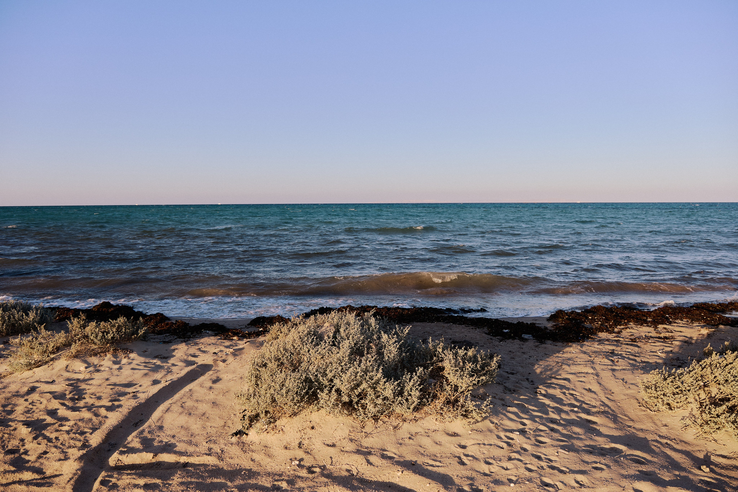 Другое 4. Jorgis — фотограф в Хургаде / обучение фотографии