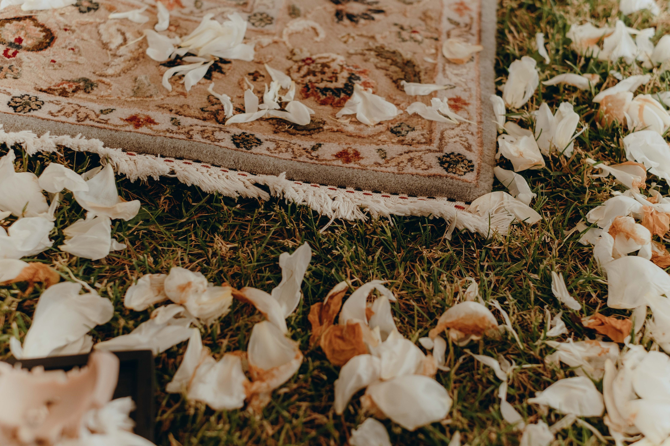 ECSTATIC WHITE 2025. Фотограф Аннё| Москва