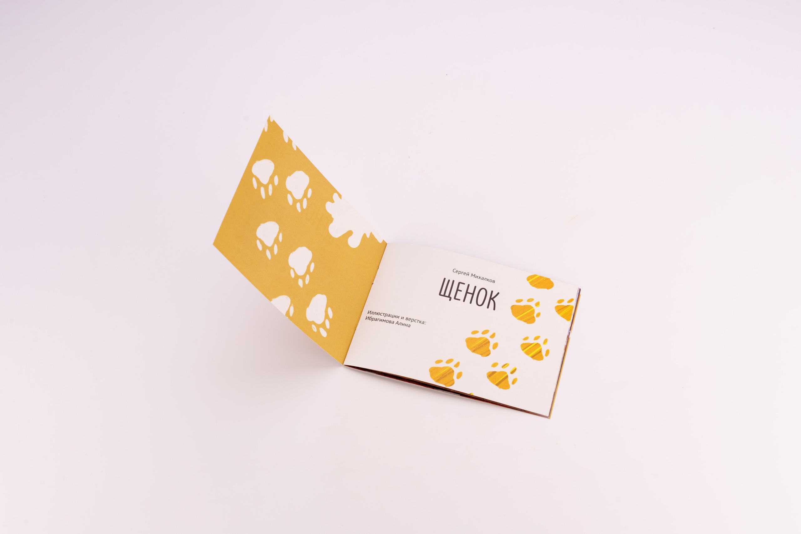 Дизайн портфолио. Фотограф в Санкт-Петербурге Ибрагимова Алина