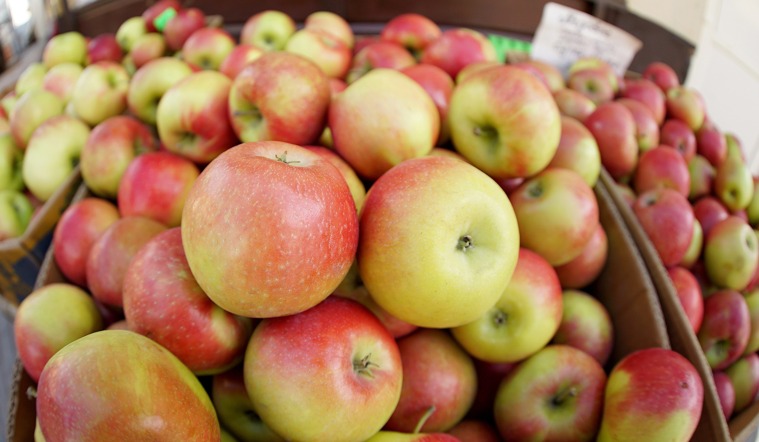 Фото. Ильнур Таминдаров