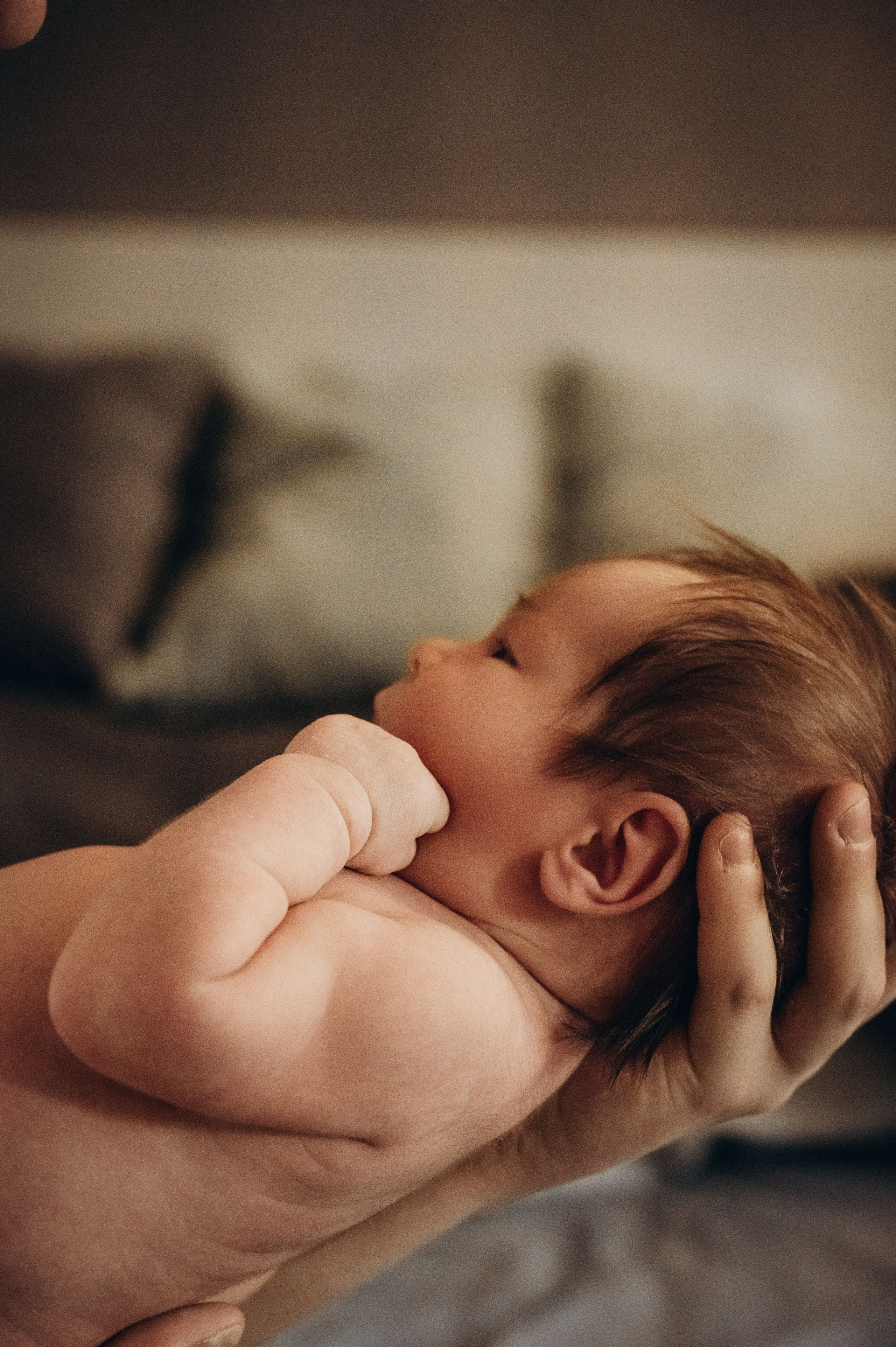 Анна, Вячеслав и Евгений. Фотограф беременности и семьи, домашние съемки, Ньюборн